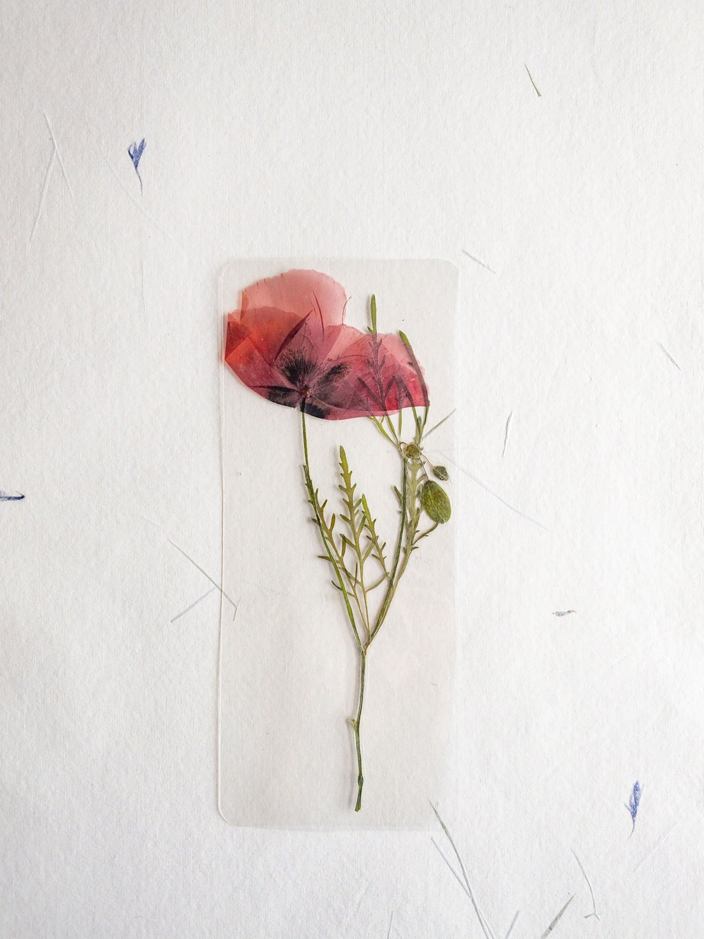 Pressed Flower bookmark TRANSPARENT , dried flower , gift, fleur, fleur séchée, marque page