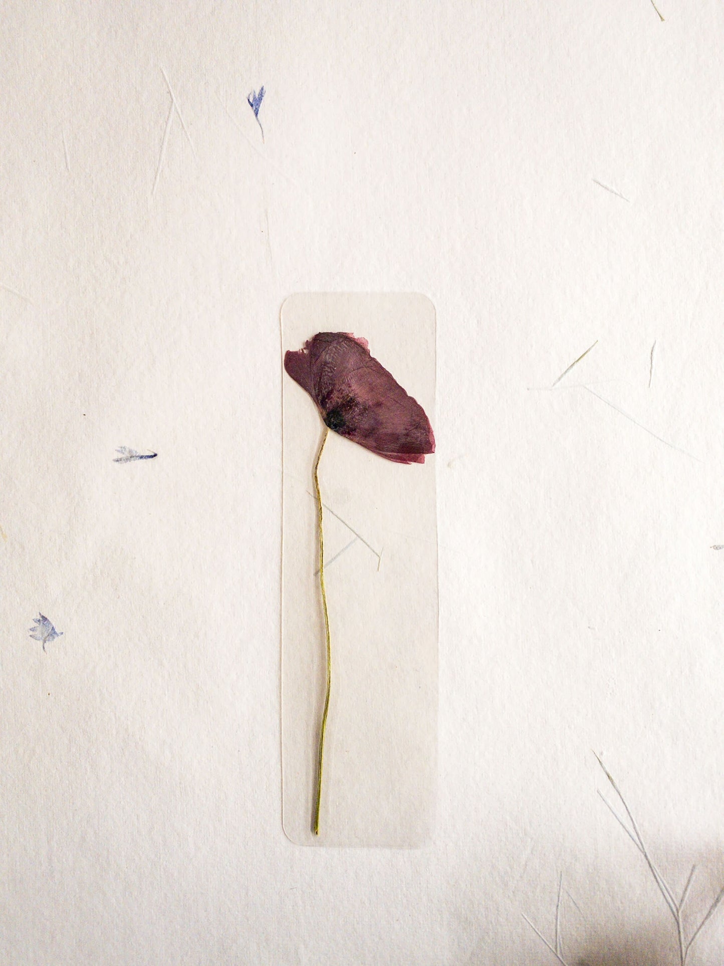 Pressed Flower bookmark TRANSPARENT , dried flower , gift, fleur, fleur séchée, marque page