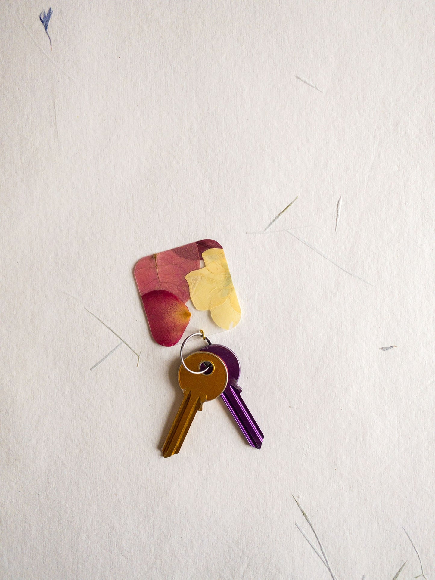 pressed flower keychain, mixed flowers, handmade bookmark, gift, dried flower, fleur séchée , Trousseau de clés