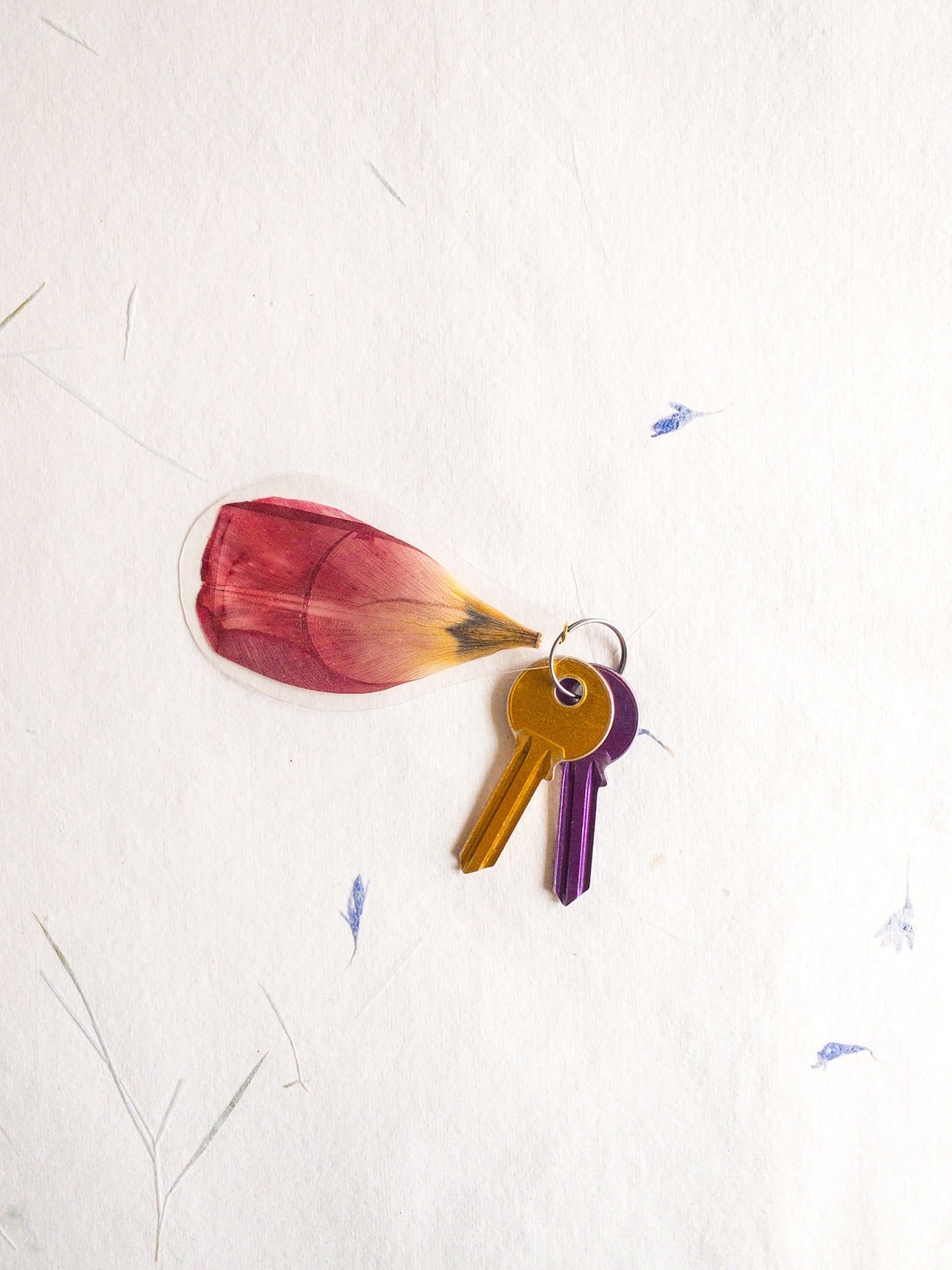 pressed flower keychain, mixed flowers, handmade bookmark, gift, dried flower, fleur séchée , Trousseau de clés