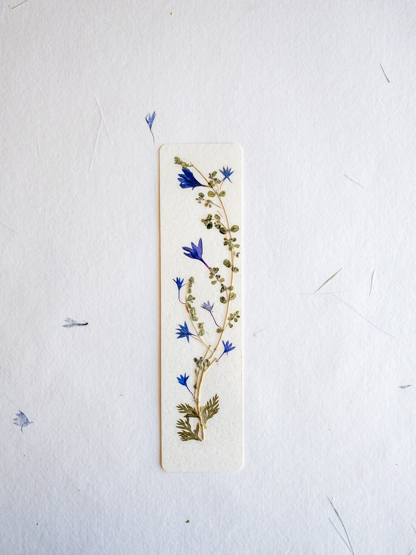 Pressed flower bookmark on handmade cotton paper, cornflower , handmade bookmark, gift, dried flower, fleur séchée , marque page Le Bleuet