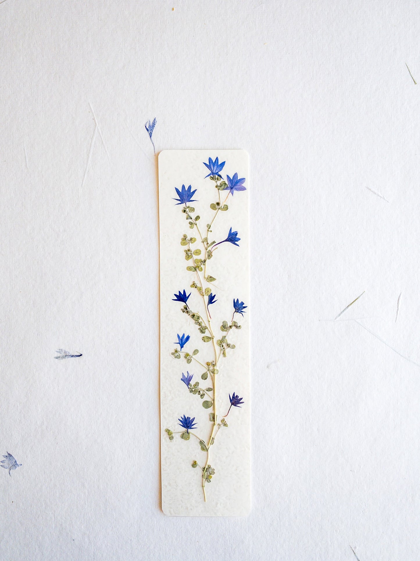 Pressed flower bookmark on handmade cotton paper, cornflower , handmade bookmark, gift, dried flower, fleur séchée , marque page Le Bleuet