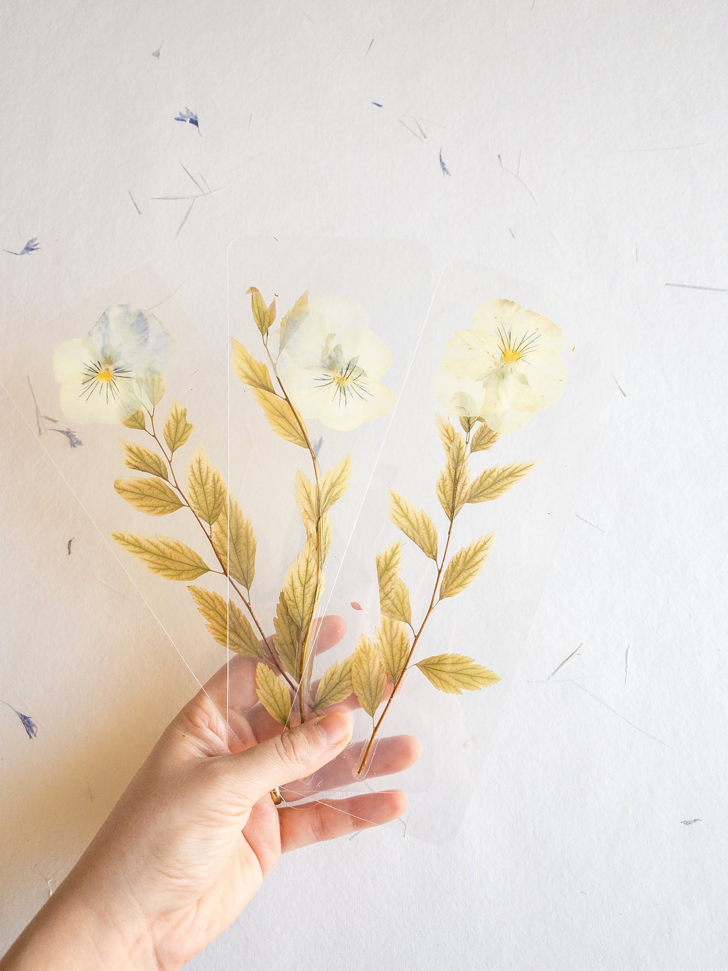 Pansy flower bookmark Pressed flower bookmark Transparent, violet bookmark handmade bookmark, gift, dried flower, fleur séchée , marque page