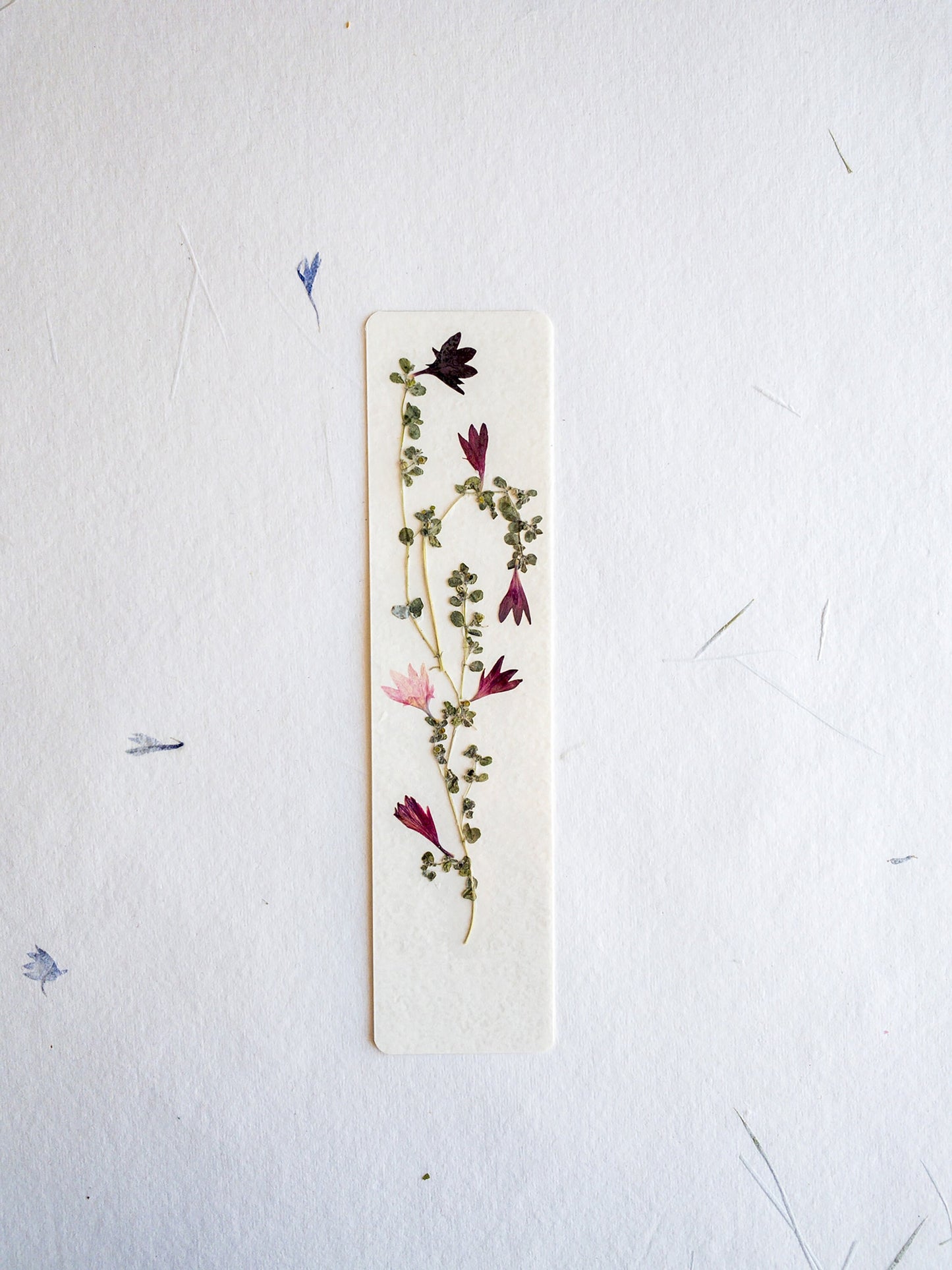 Pressed flower bookmark on handmade cotton paper, cornflower , handmade bookmark, gift, dried flower, fleur séchée , marque page Le Bleuet