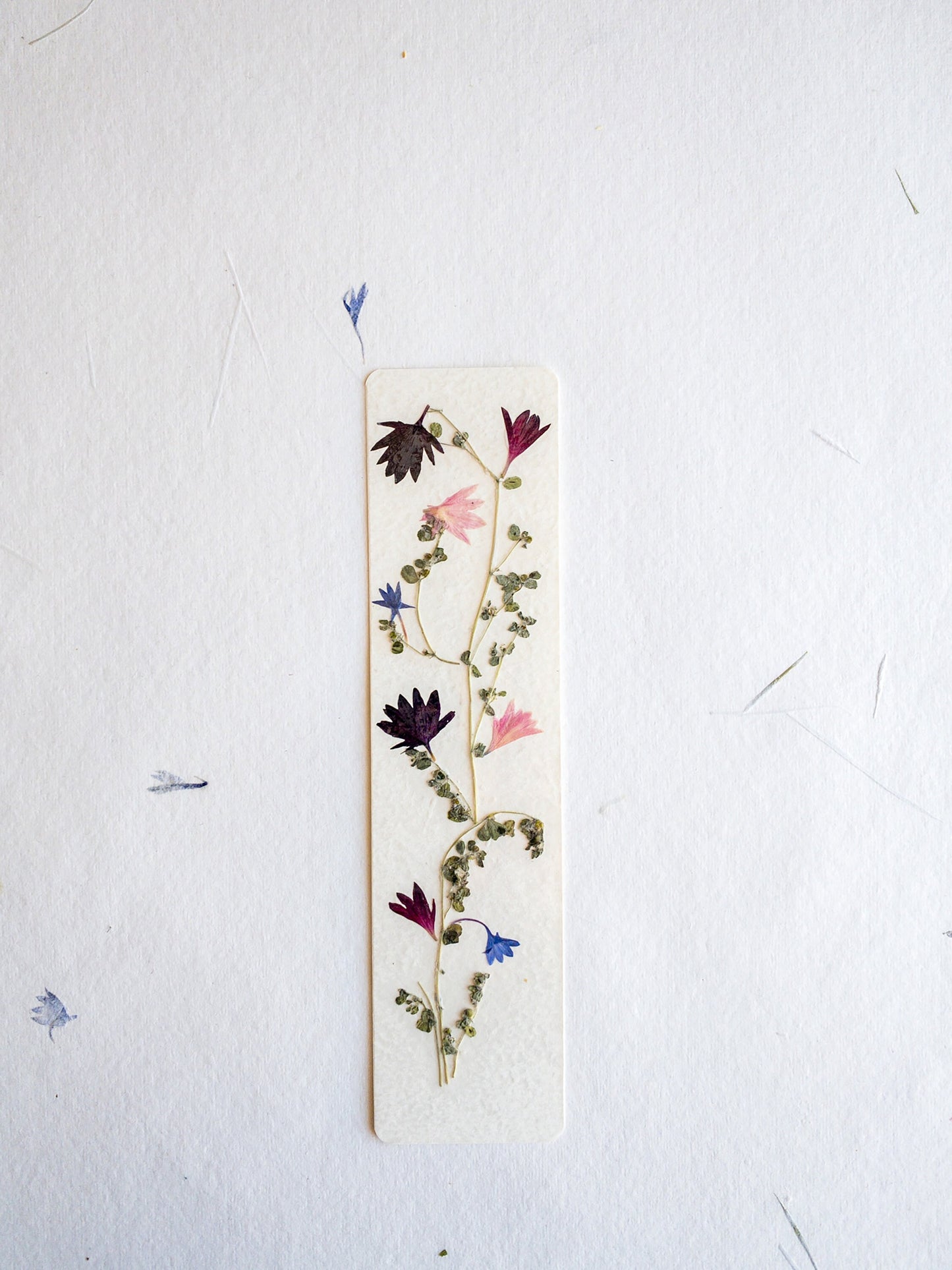 Pressed flower bookmark on handmade cotton paper, cornflower , handmade bookmark, gift, dried flower, fleur séchée , marque page Le Bleuet