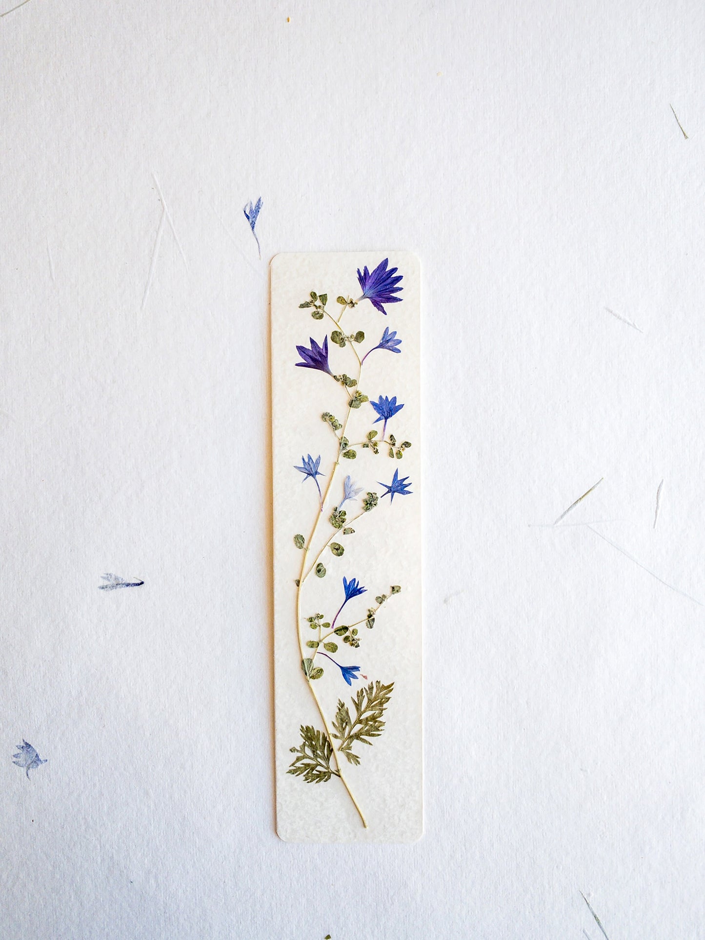 Pressed flower bookmark on handmade cotton paper, cornflower , handmade bookmark, gift, dried flower, fleur séchée , marque page Le Bleuet
