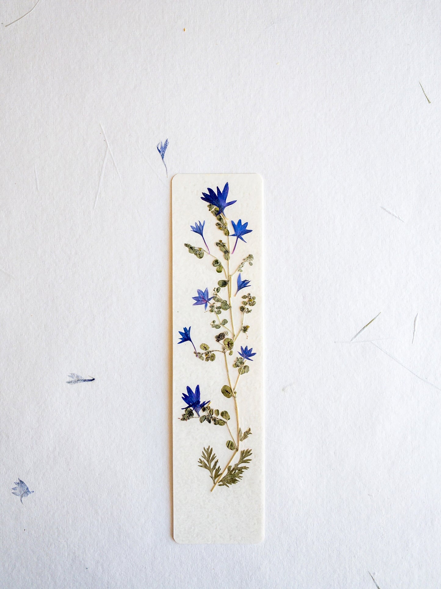 Pressed flower bookmark on handmade cotton paper, cornflower , handmade bookmark, gift, dried flower, fleur séchée , marque page Le Bleuet