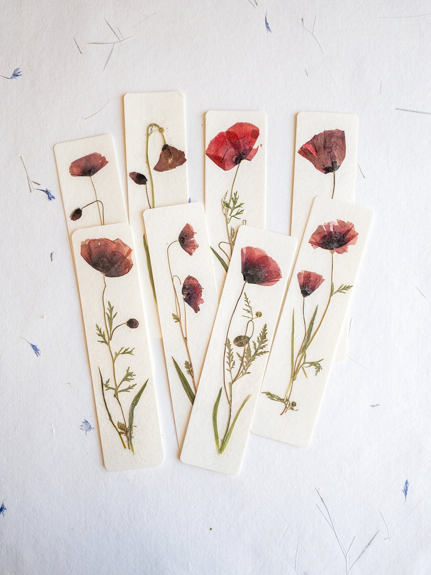 Pressed Flower bookmark corn poppy , dried flower , gift, fleur, fleur séchée, marque page coquelicots
