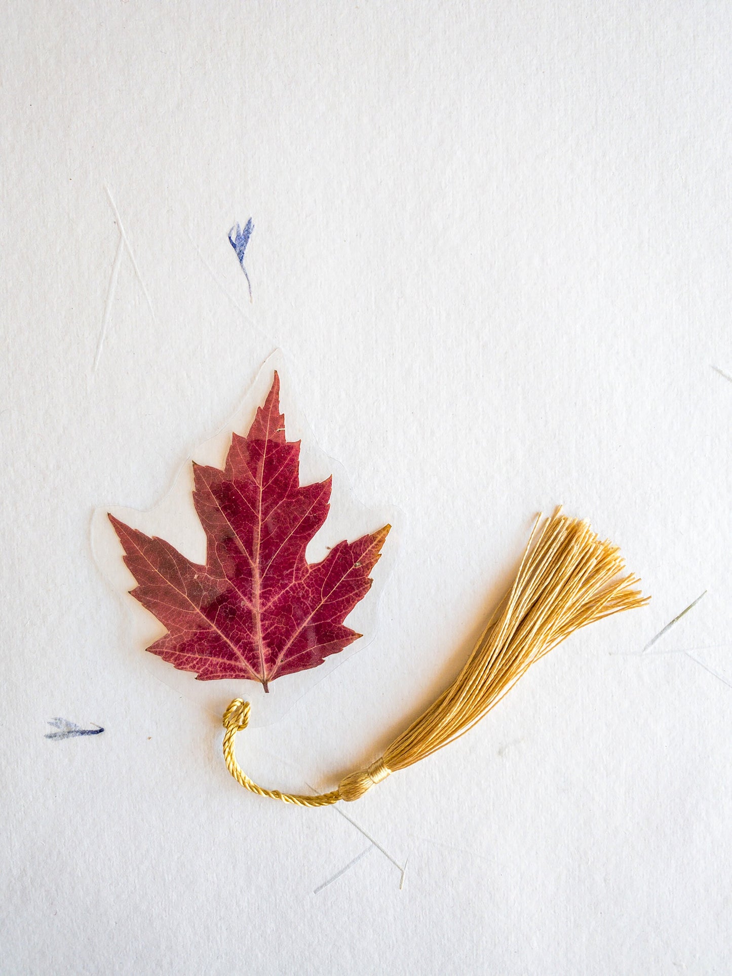 Pressed flower bookmark maple leaf with Tassel , transparent bookmark, handmade bookmark, gift, dried flower, fleur séchée , marque page