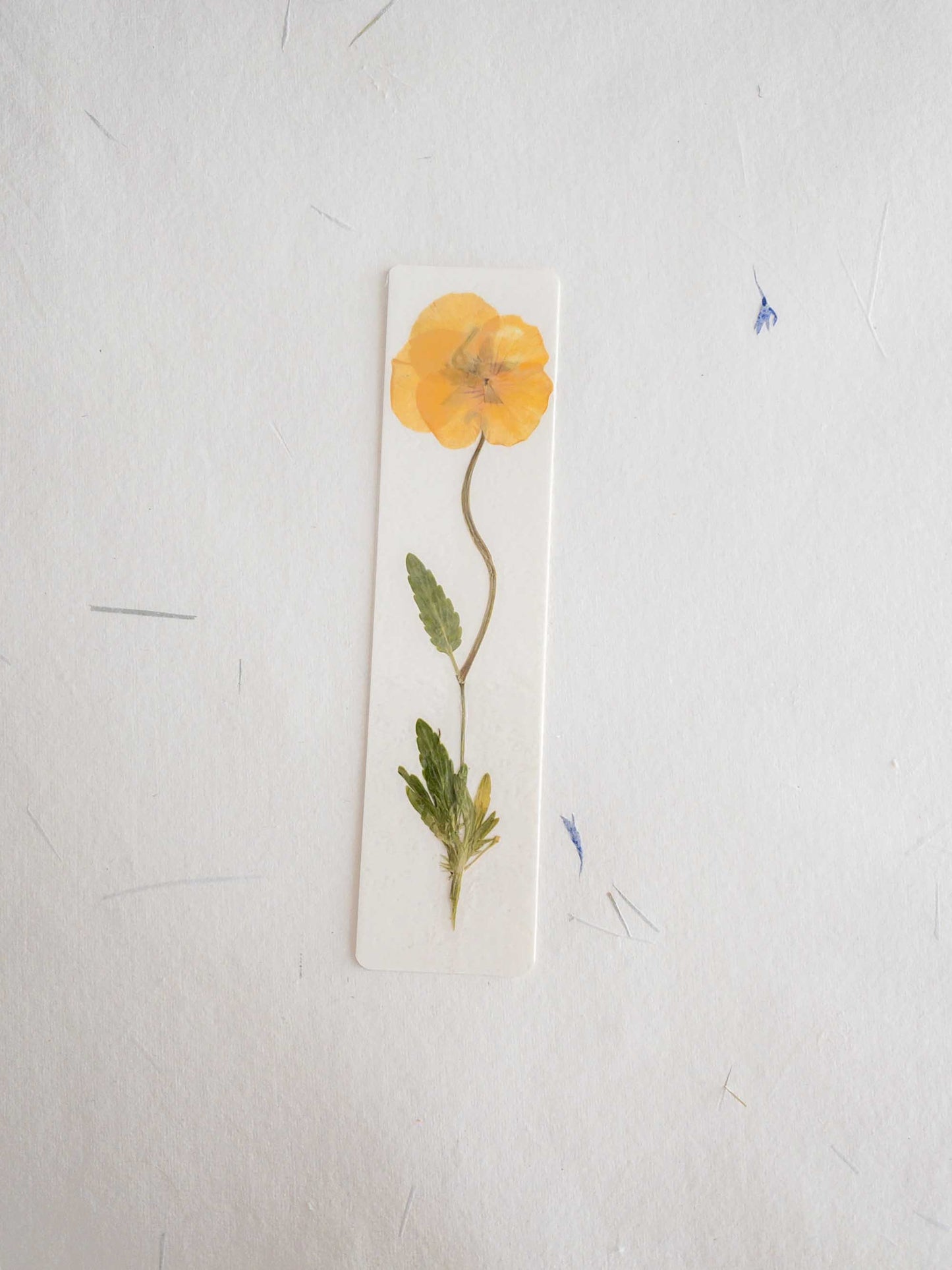 Pansy flower bookmark , pressed flower bookmark on handmade cotton paper , handmade bookmark, gift, dried flower, fleur séchée , marque page