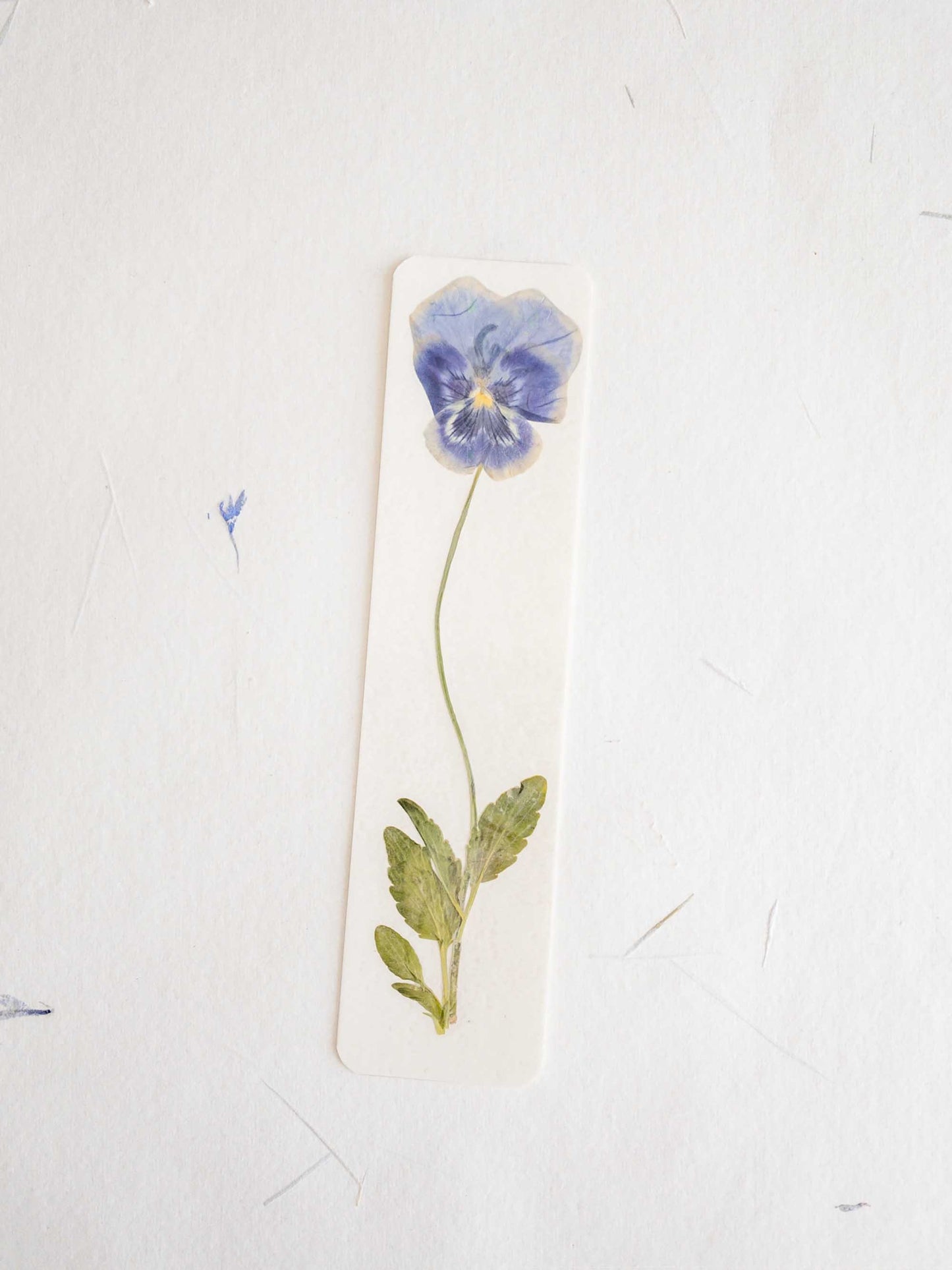Pansy flower bookmark , pressed flower bookmark on handmade cotton paper , handmade bookmark, gift, dried flower, fleur séchée , marque page