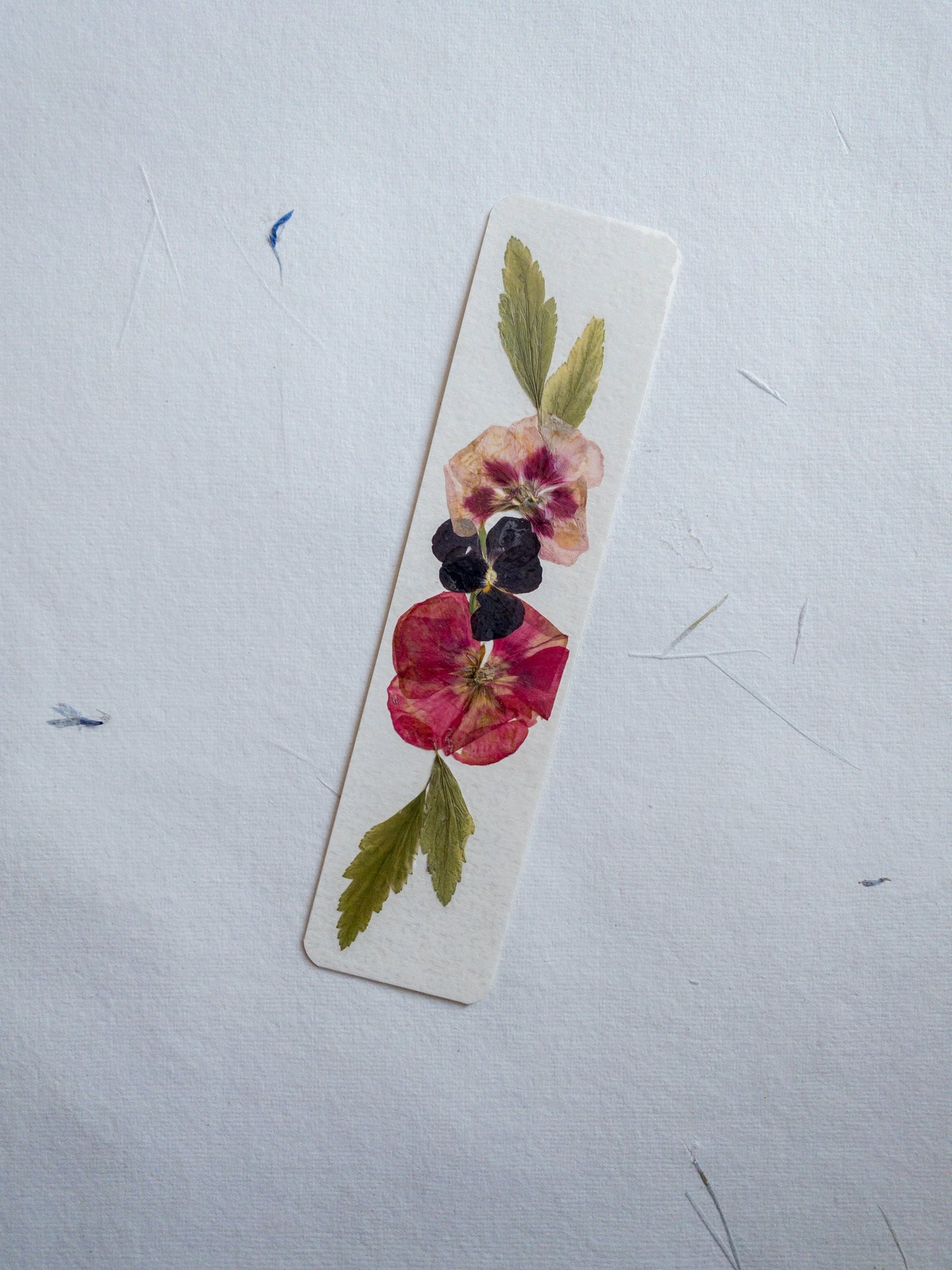 pressed flower bookmark, mixed flowers, handmade bookmark, gift, dried flower, fleur séchée , marque page