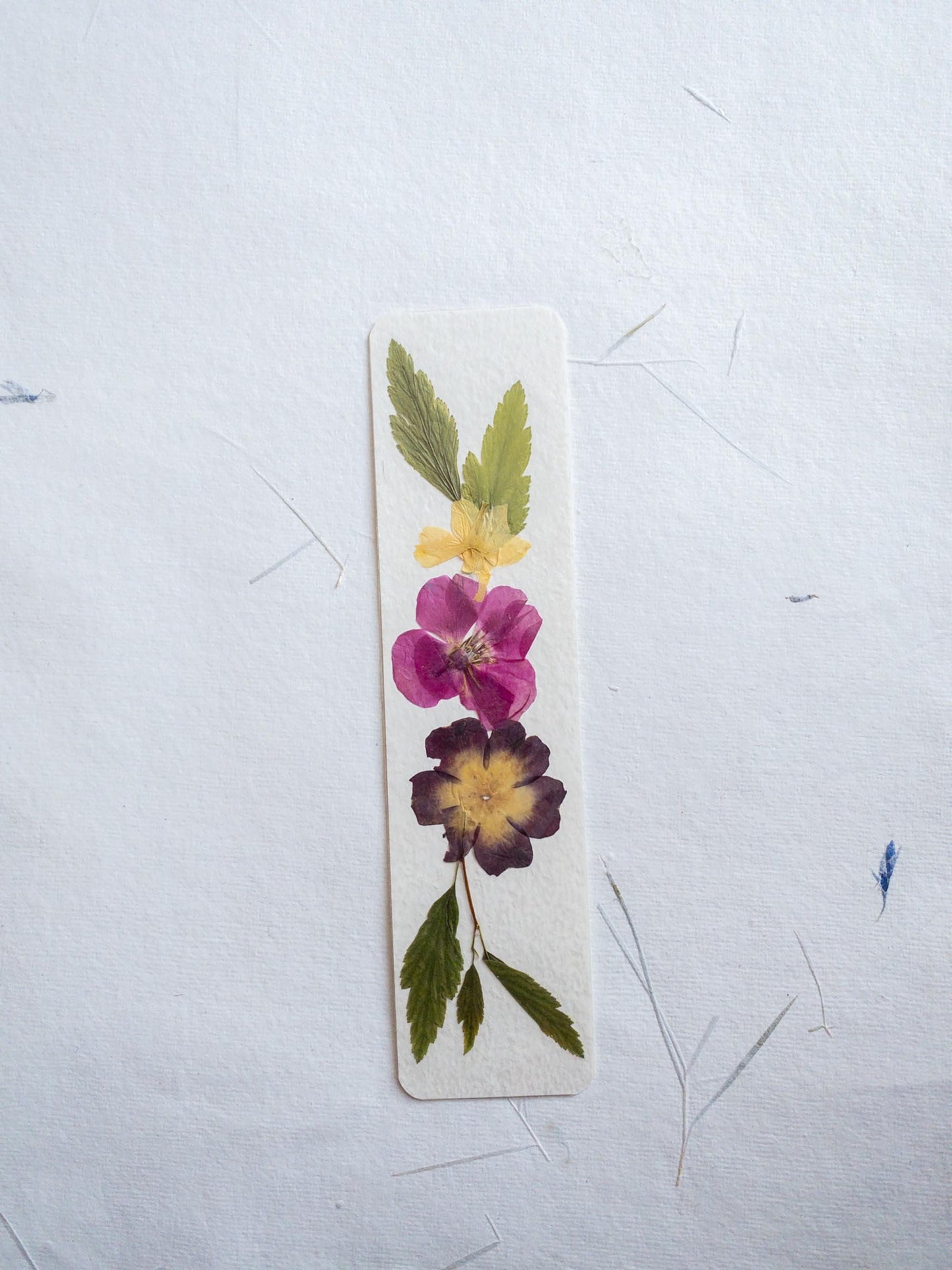 pressed flower bookmark, mixed flowers, handmade bookmark, gift, dried flower, fleur séchée , marque page
