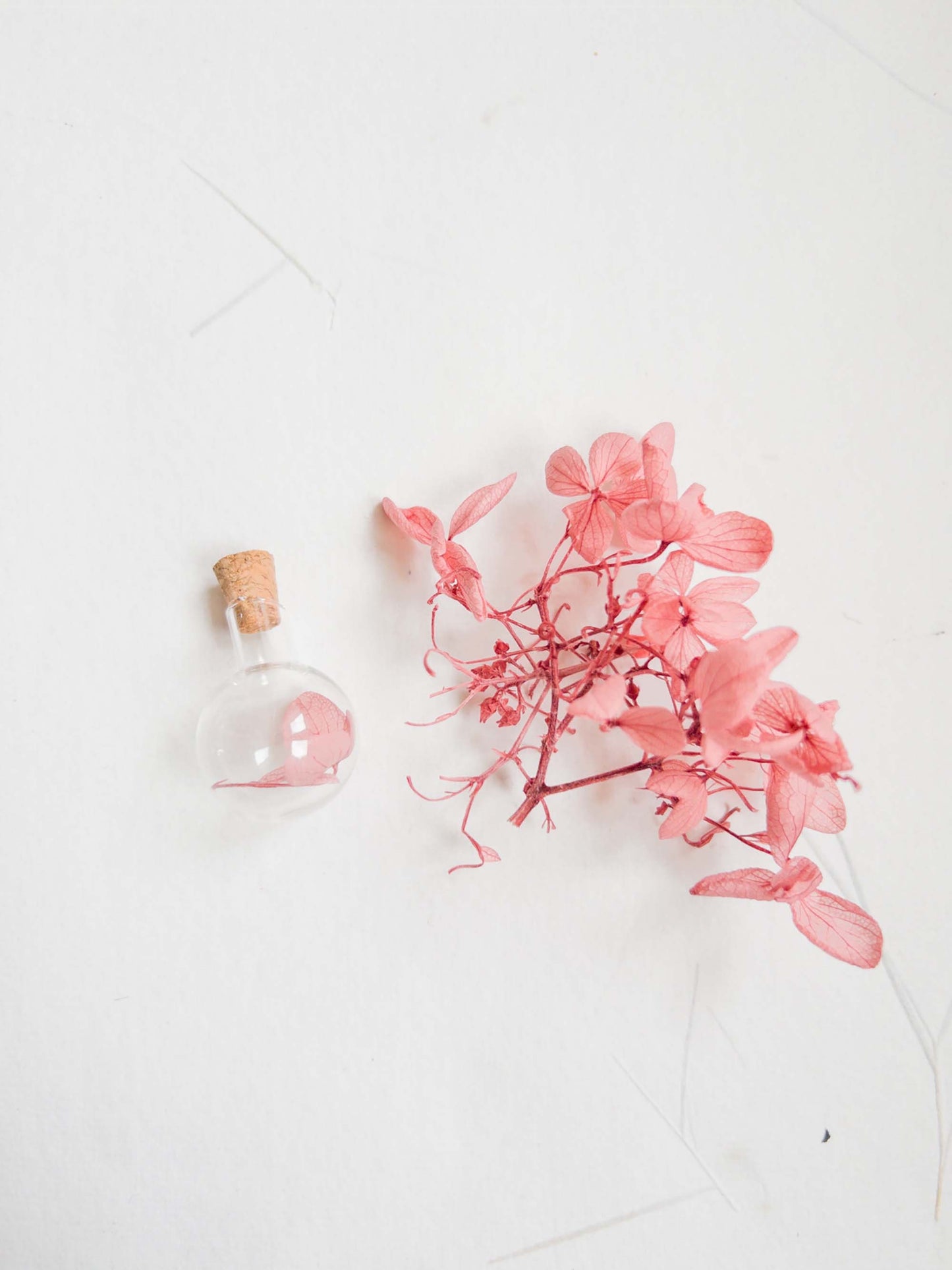 Heart and Round Glass bottle of dried flowers, mixed flowers, dried flowers in a bottle ,Wedding gift, dried flower, fleur séchée ,