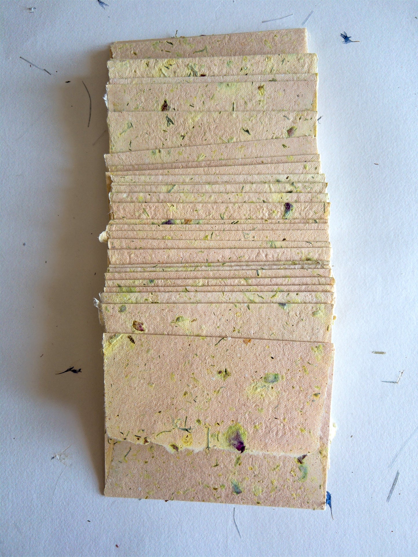 C6 Herb and Damask Rose Deckle Edge Envelope
