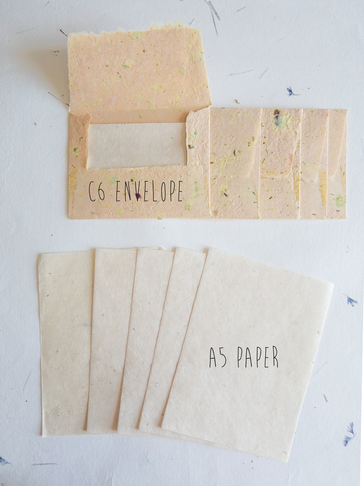 C6 Herb and Damask Rose Deckle Edge Envelope