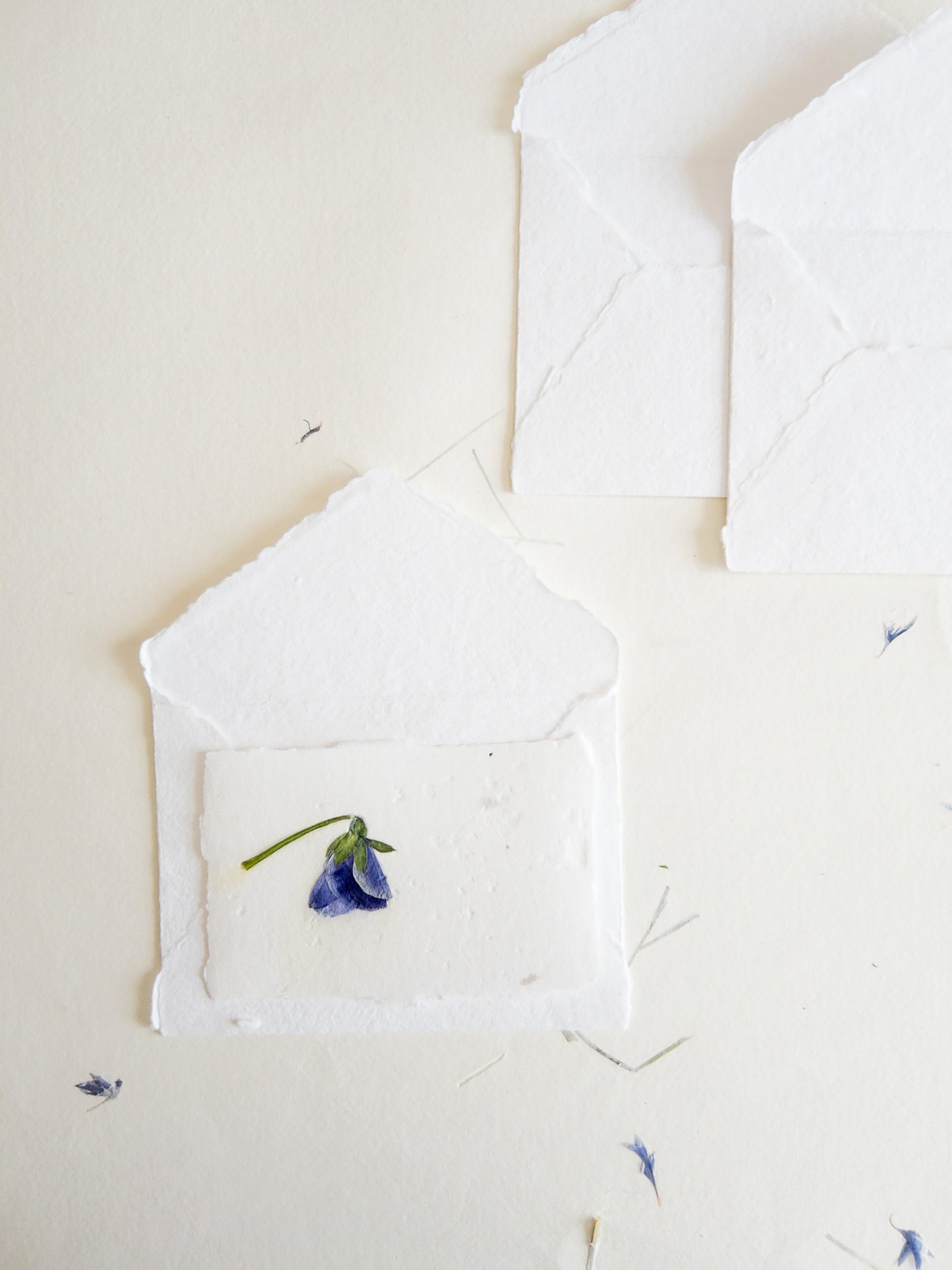 Pansy Pressed flower card, pressed flower stationary ,violet Invitation Paper, Calligraphy Paper, Papier Fait Main, handmade envelope