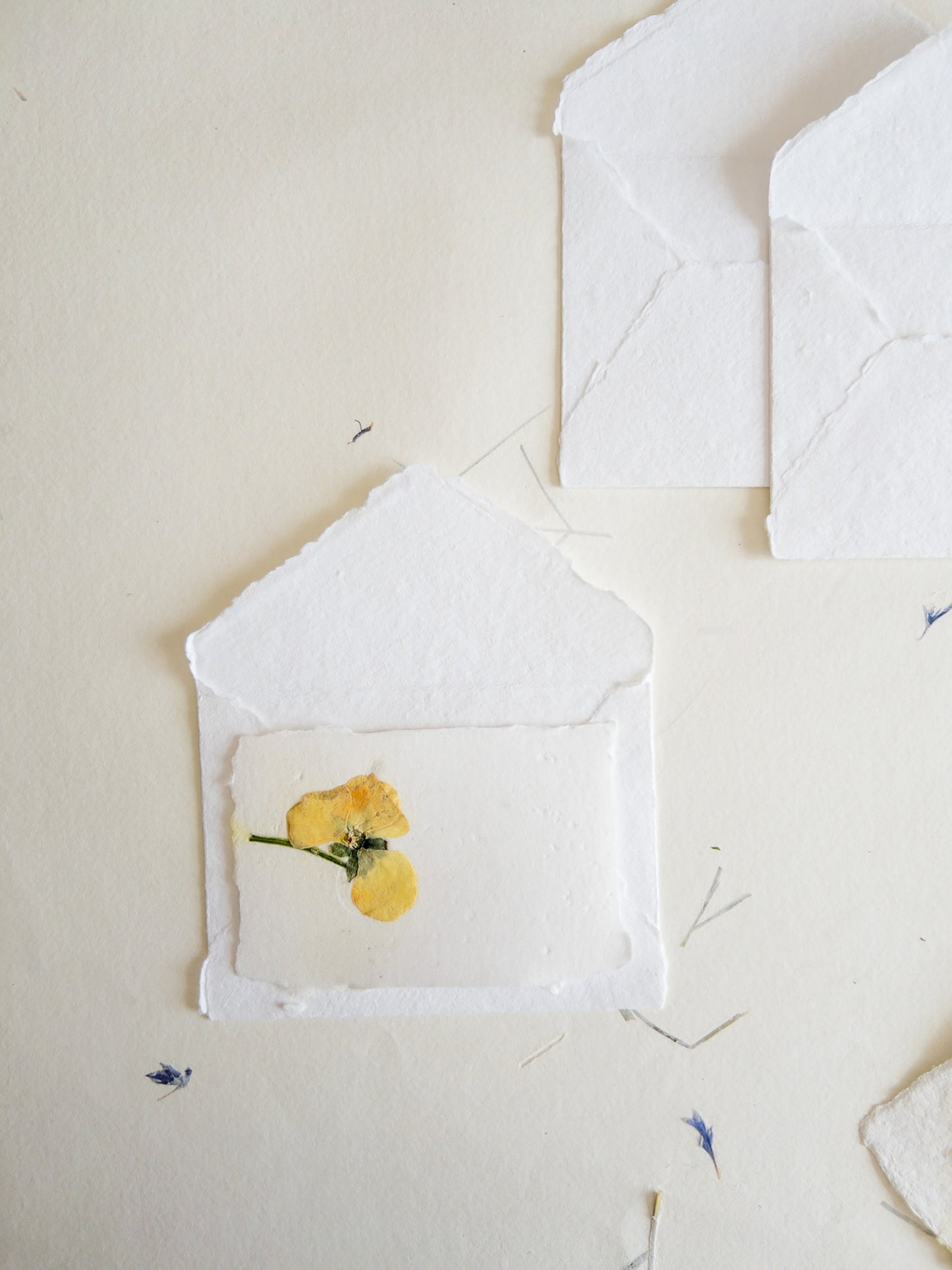 Pansy Pressed flower card, pressed flower stationary ,violet Invitation Paper, Calligraphy Paper, Papier Fait Main, handmade envelope