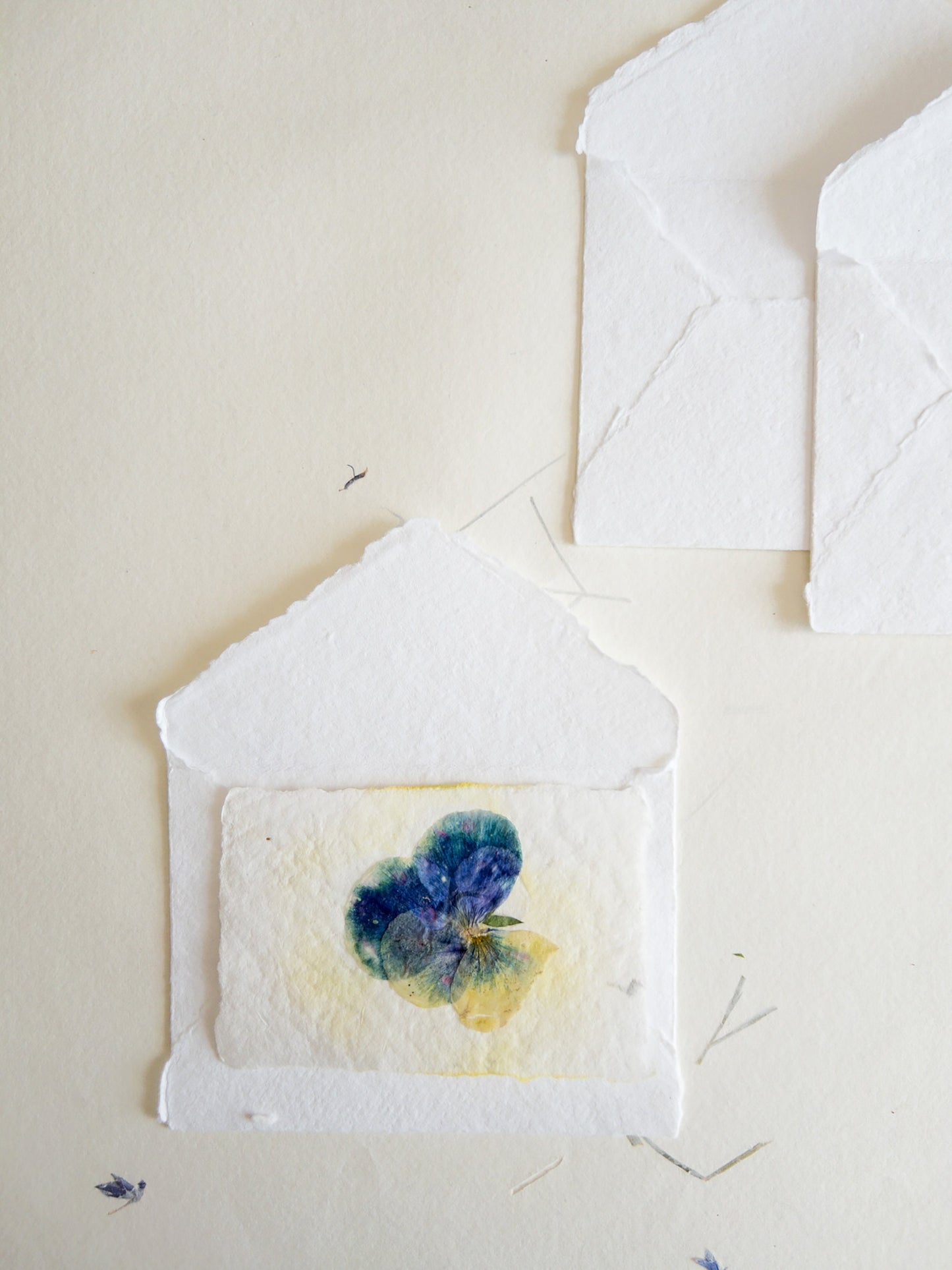 Pansy Pressed flower card, pressed flower stationary ,violet Invitation Paper, Calligraphy Paper, Papier Fait Main, handmade envelope