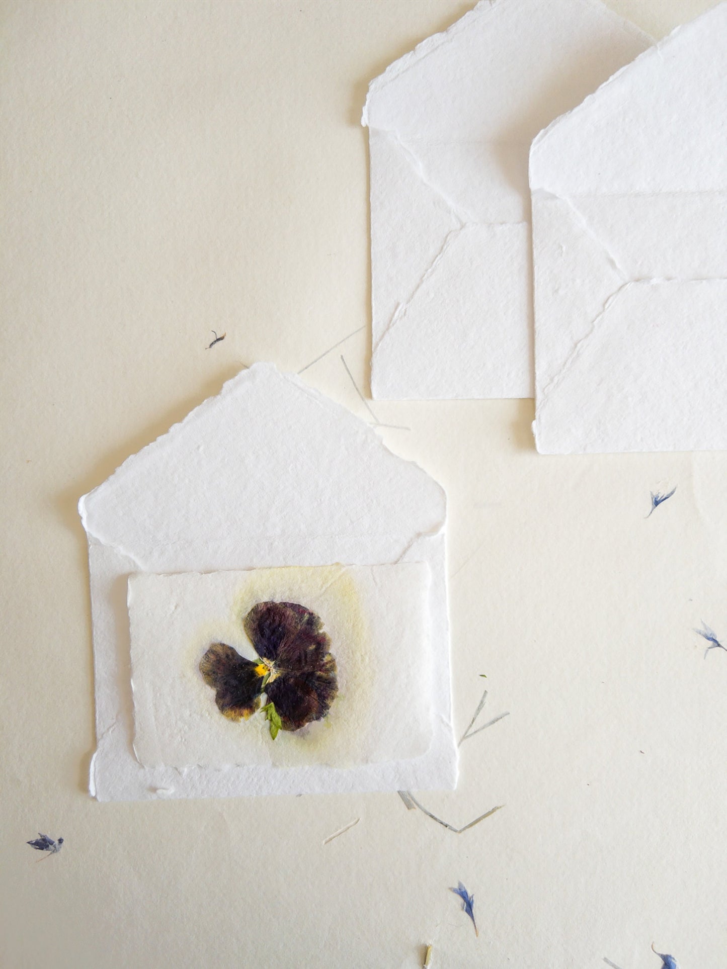 Pansy Pressed flower card, pressed flower stationary ,violet Invitation Paper, Calligraphy Paper, Papier Fait Main, handmade envelope