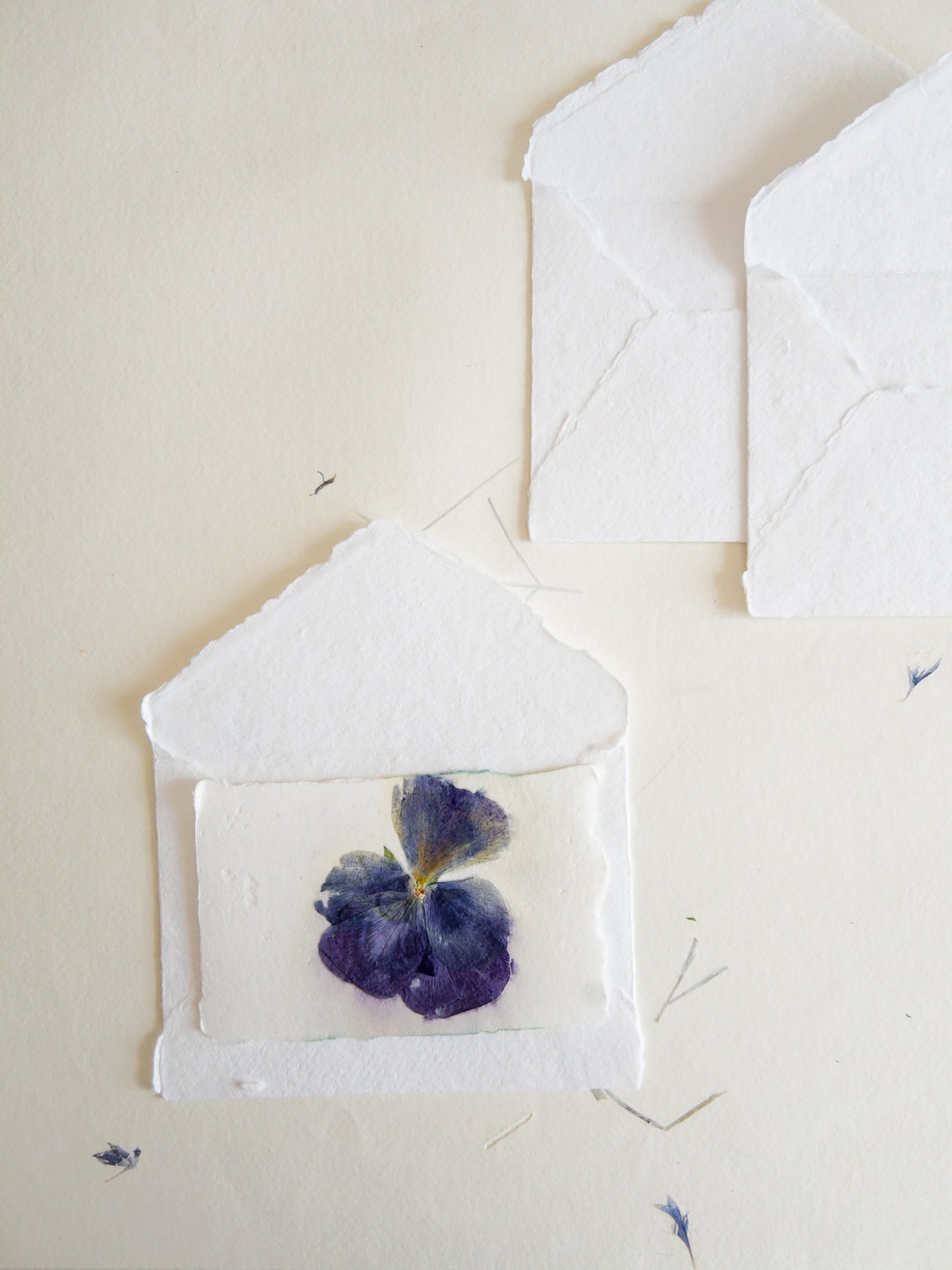 Pansy Pressed flower card, pressed flower stationary ,violet Invitation Paper, Calligraphy Paper, Papier Fait Main, handmade envelope