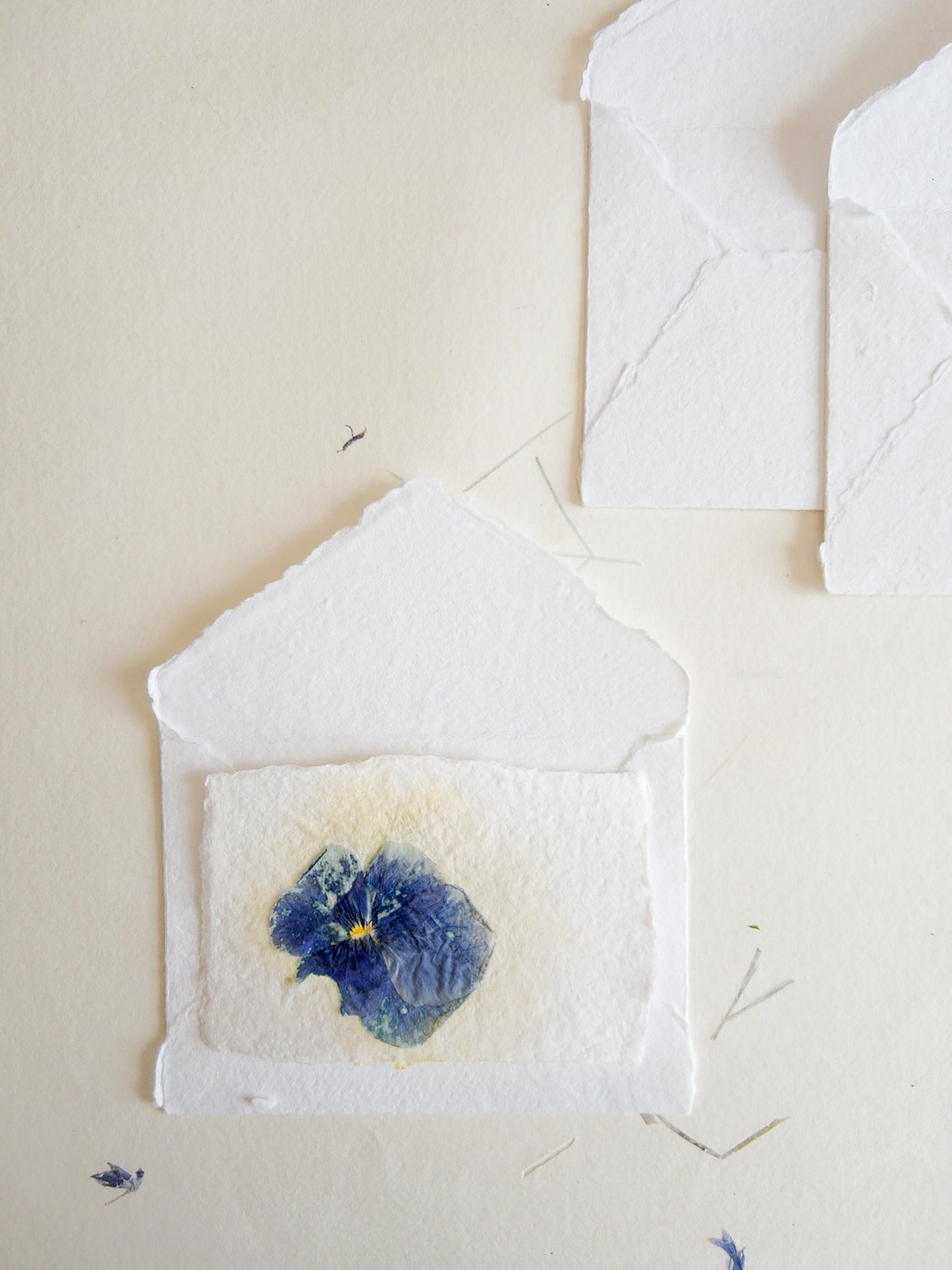 Pansy Pressed flower card, pressed flower stationary ,violet Invitation Paper, Calligraphy Paper, Papier Fait Main, handmade envelope