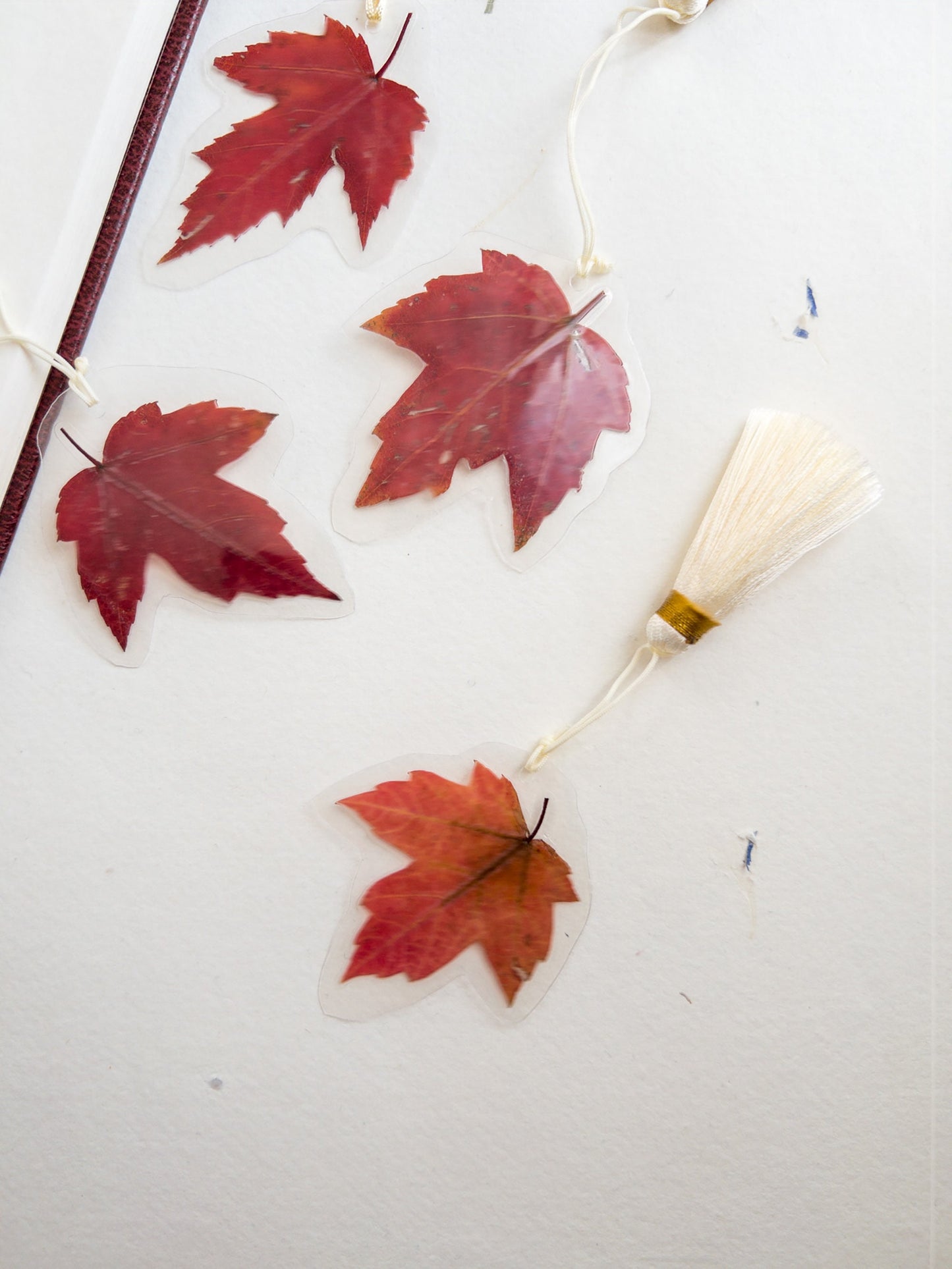 Pressed flower bookmark maple leaf with silk Tassel , transparent bookmark, handmade bookmark, dried flower, fleur séchée , marque page