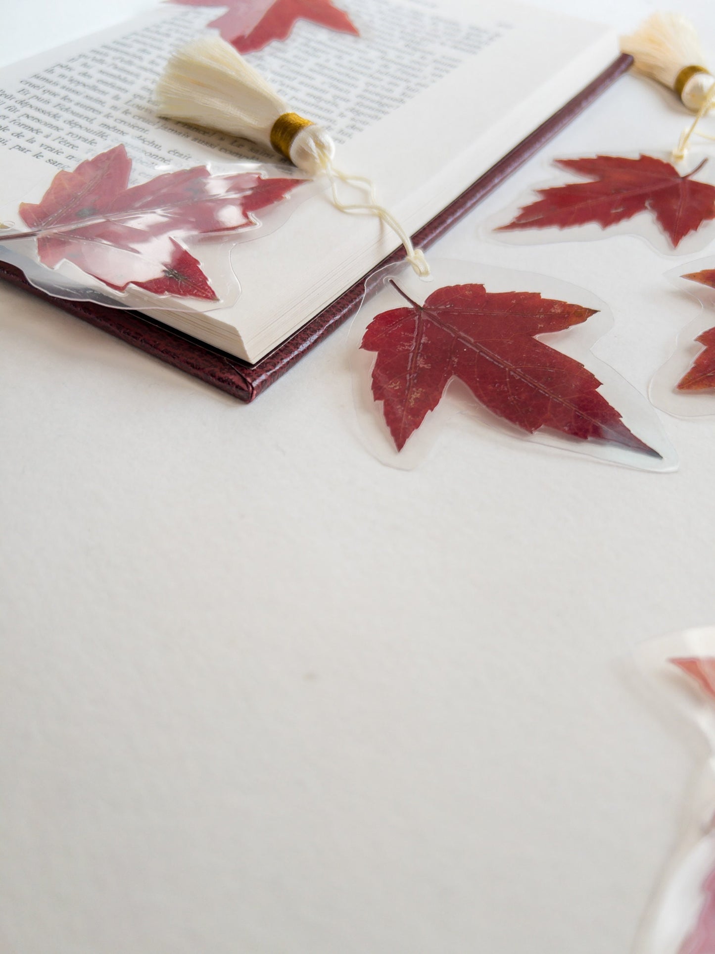 Pressed flower bookmark maple leaf with silk Tassel , transparent bookmark, handmade bookmark, dried flower, fleur séchée , marque page