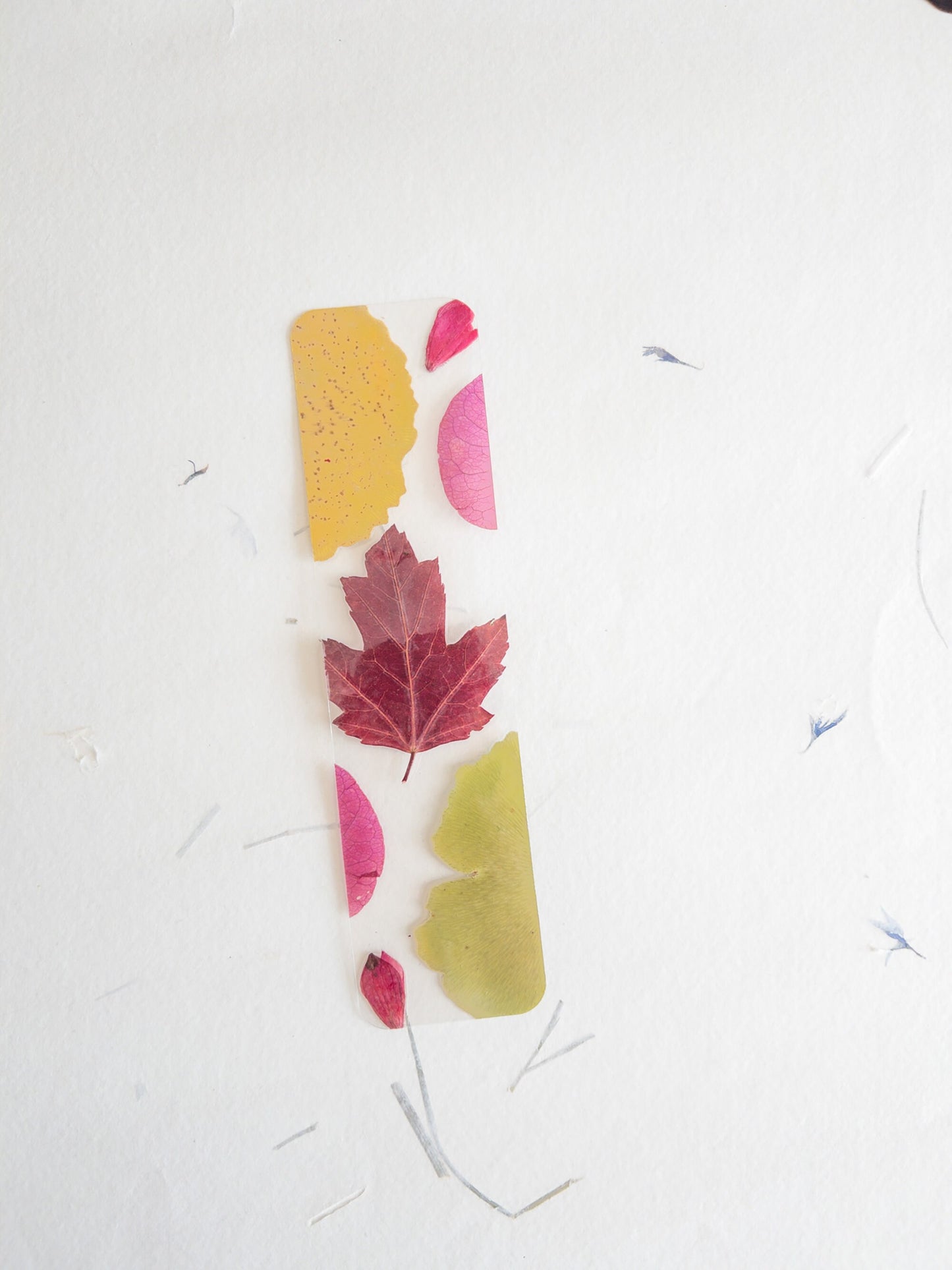 pressed flower bookmark, mixed flowers, handmade bookmark, gift, dried flower, fleur séchée , marque page