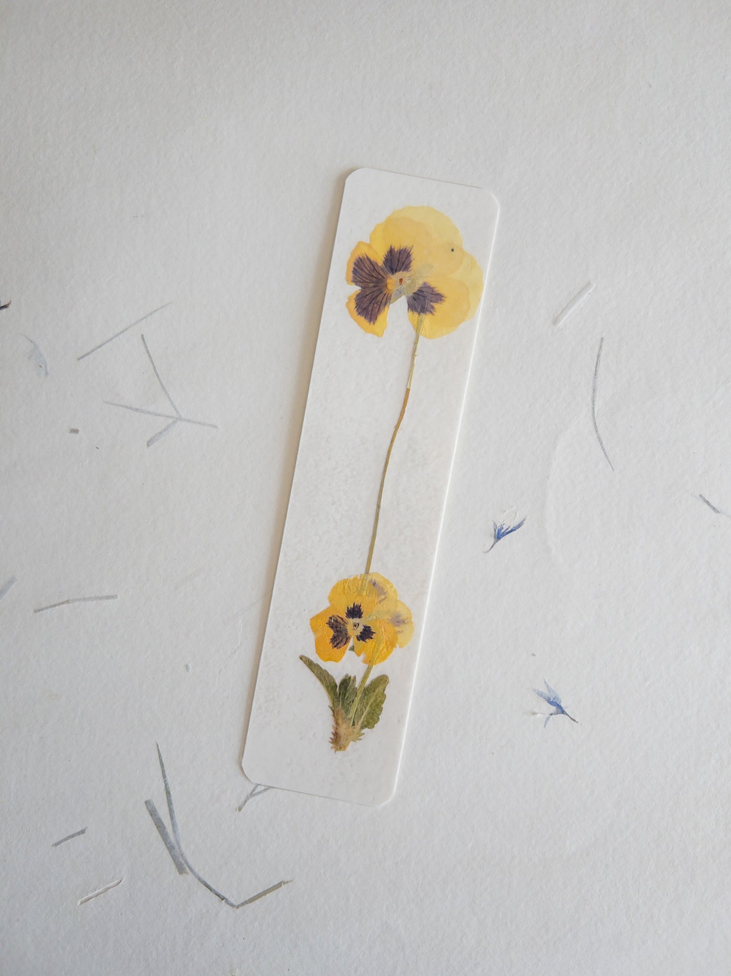 Pansy flower bookmark , pressed flower bookmark on handmade cotton paper , handmade bookmark, gift, dried flower, fleur séchée , marque page
