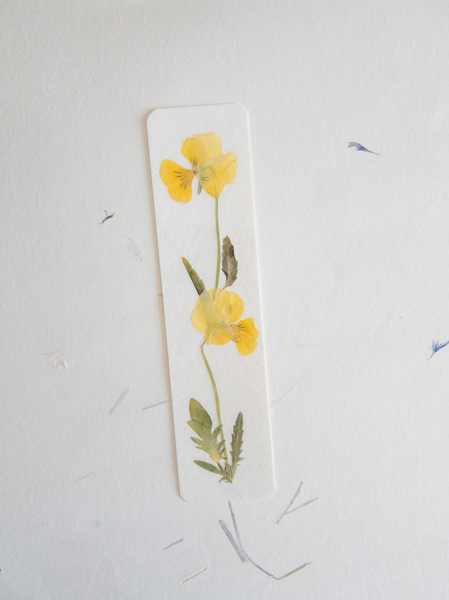 Pansy flower bookmark , pressed flower bookmark on handmade cotton paper , handmade bookmark, gift, dried flower, fleur séchée , marque page