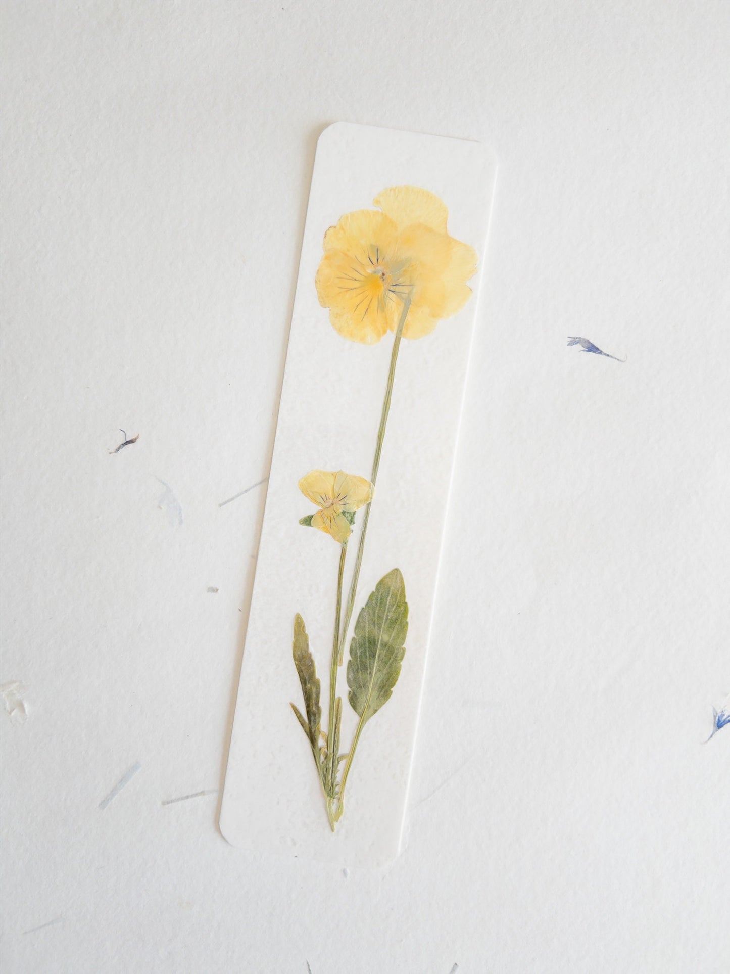Pansy flower bookmark , pressed flower bookmark on handmade cotton paper , handmade bookmark, gift, dried flower, fleur séchée , marque page