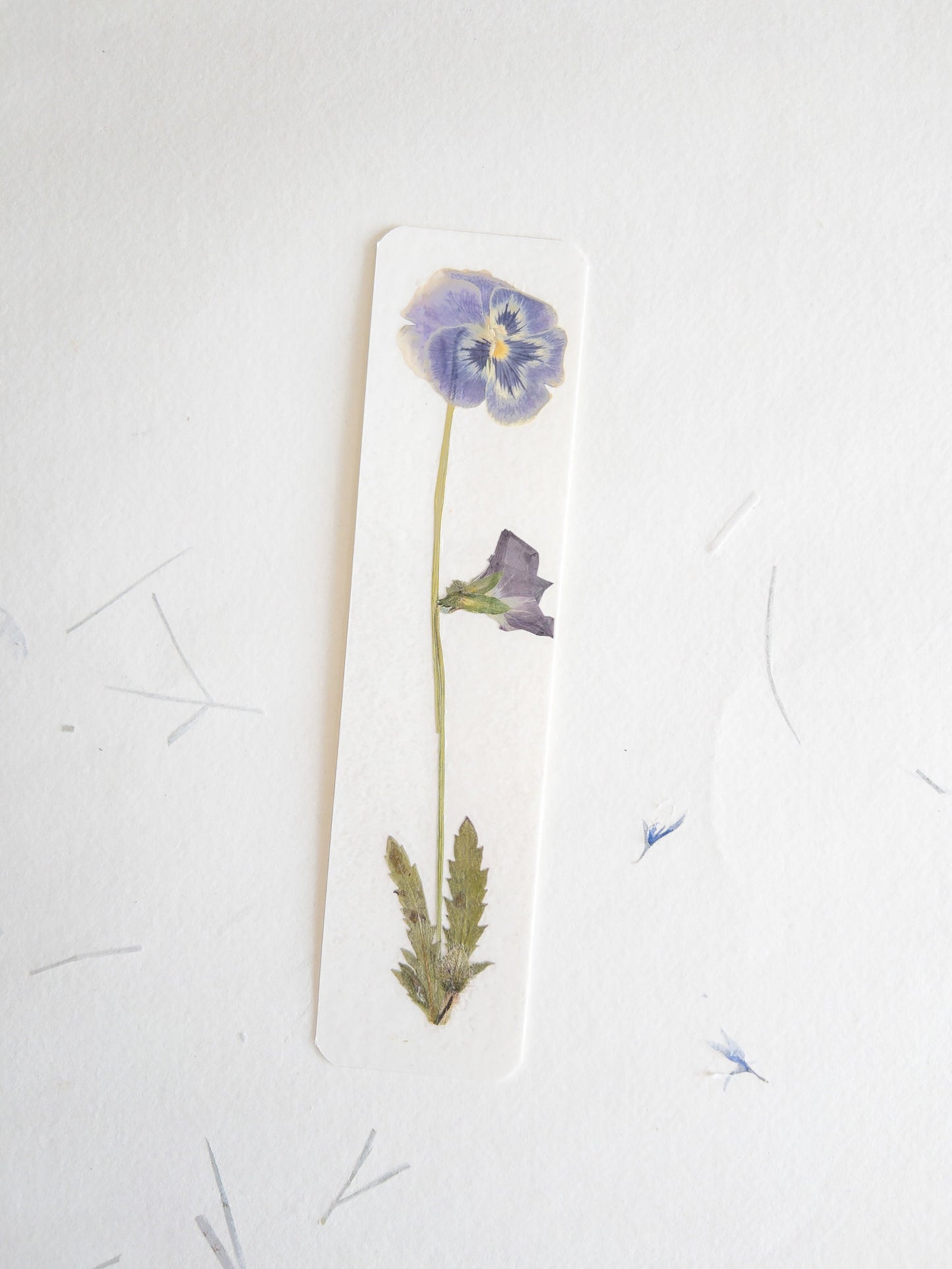 Pansy flower bookmark , pressed flower bookmark on handmade cotton paper , handmade bookmark, gift, dried flower, fleur séchée , marque page