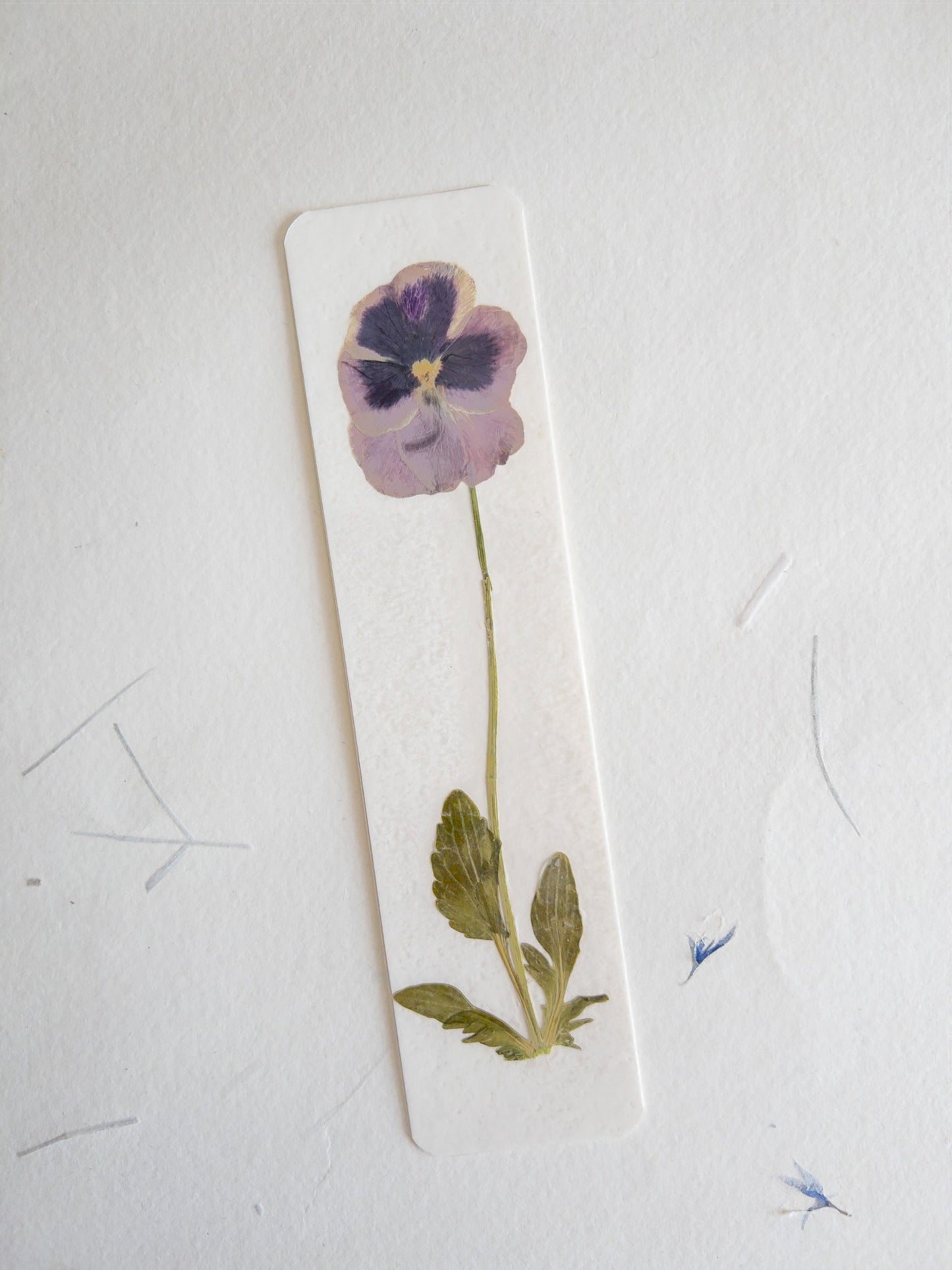Pansy flower bookmark , pressed flower bookmark on handmade cotton paper , handmade bookmark, gift, dried flower, fleur séchée , marque page