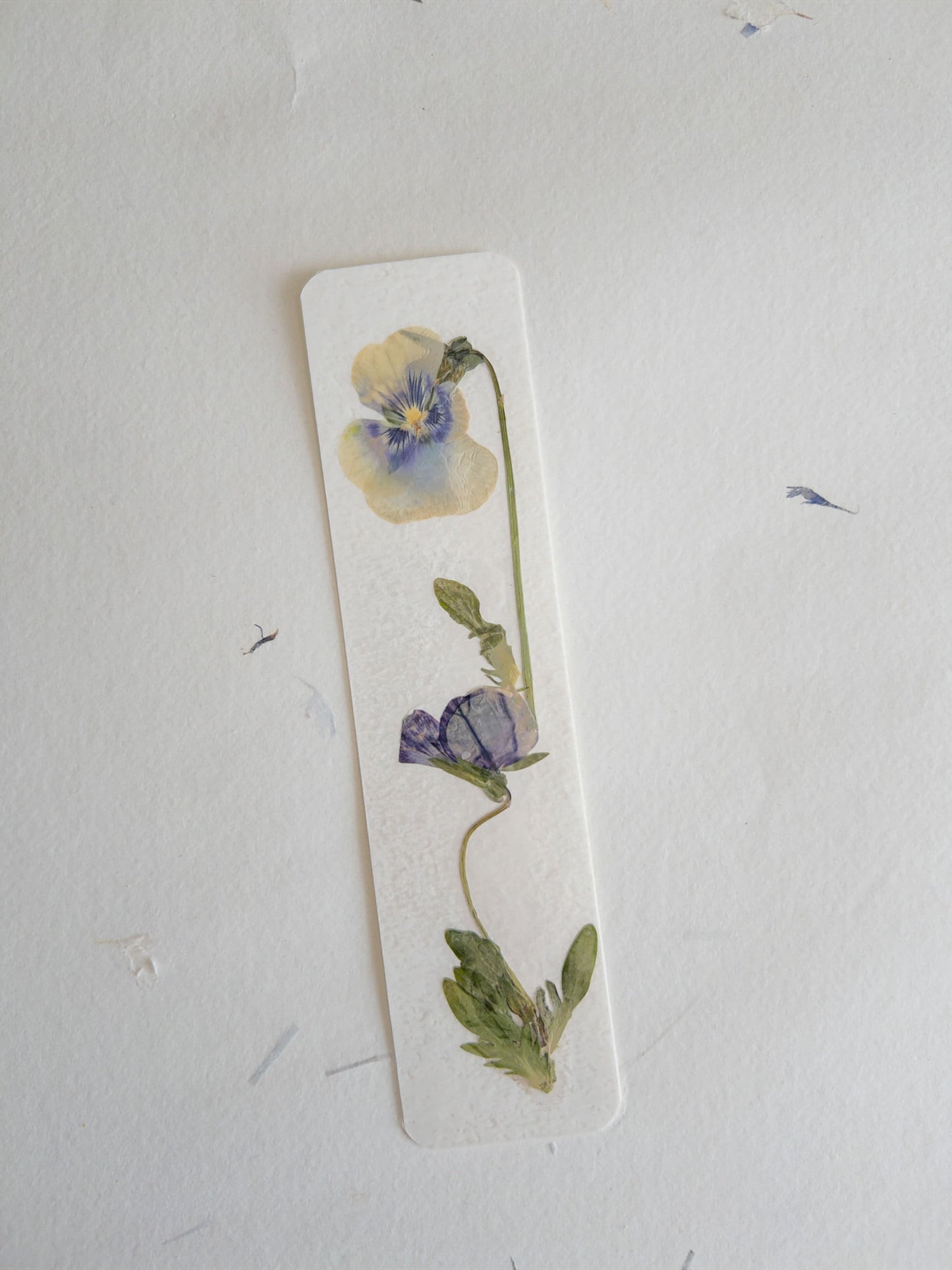Pansy flower bookmark , pressed flower bookmark on handmade cotton paper , handmade bookmark, gift, dried flower, fleur séchée , marque page