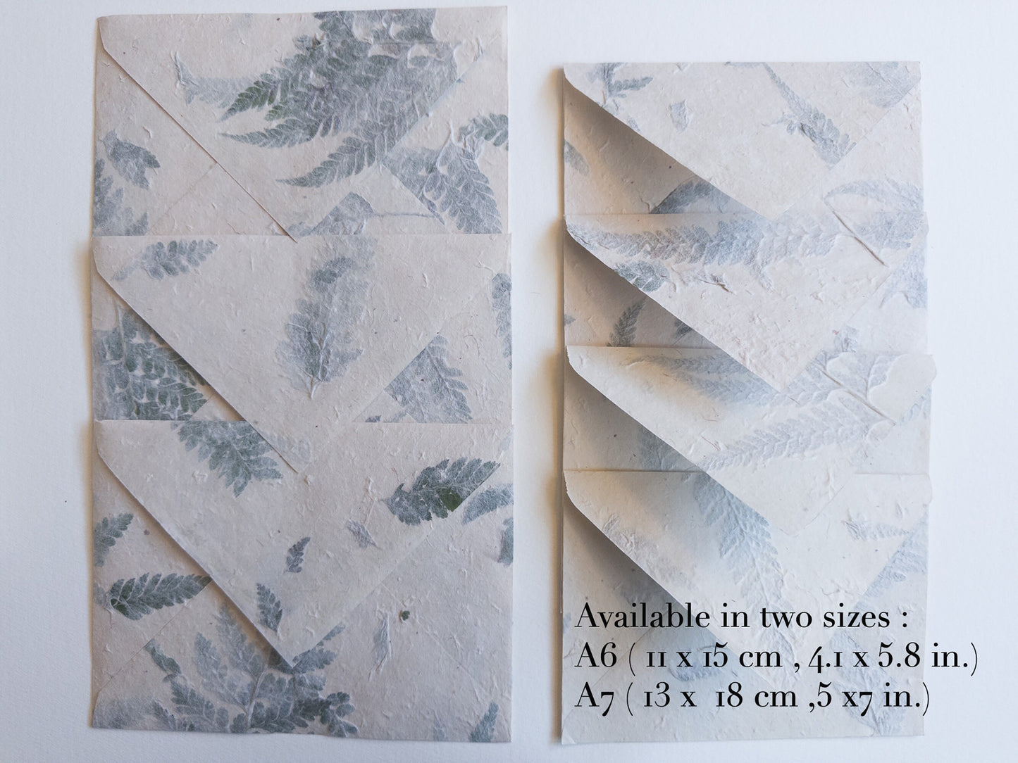 Fern Envelope and Paper