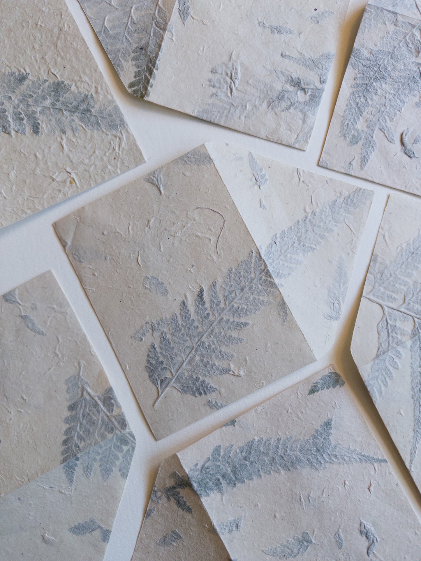 Fern paper SET OF FIVE Handmade paper with Envelop, real pressed Fern 5x7 paper, A6 paper, Invitation Paper, inkjet paper, Papier Fait Main