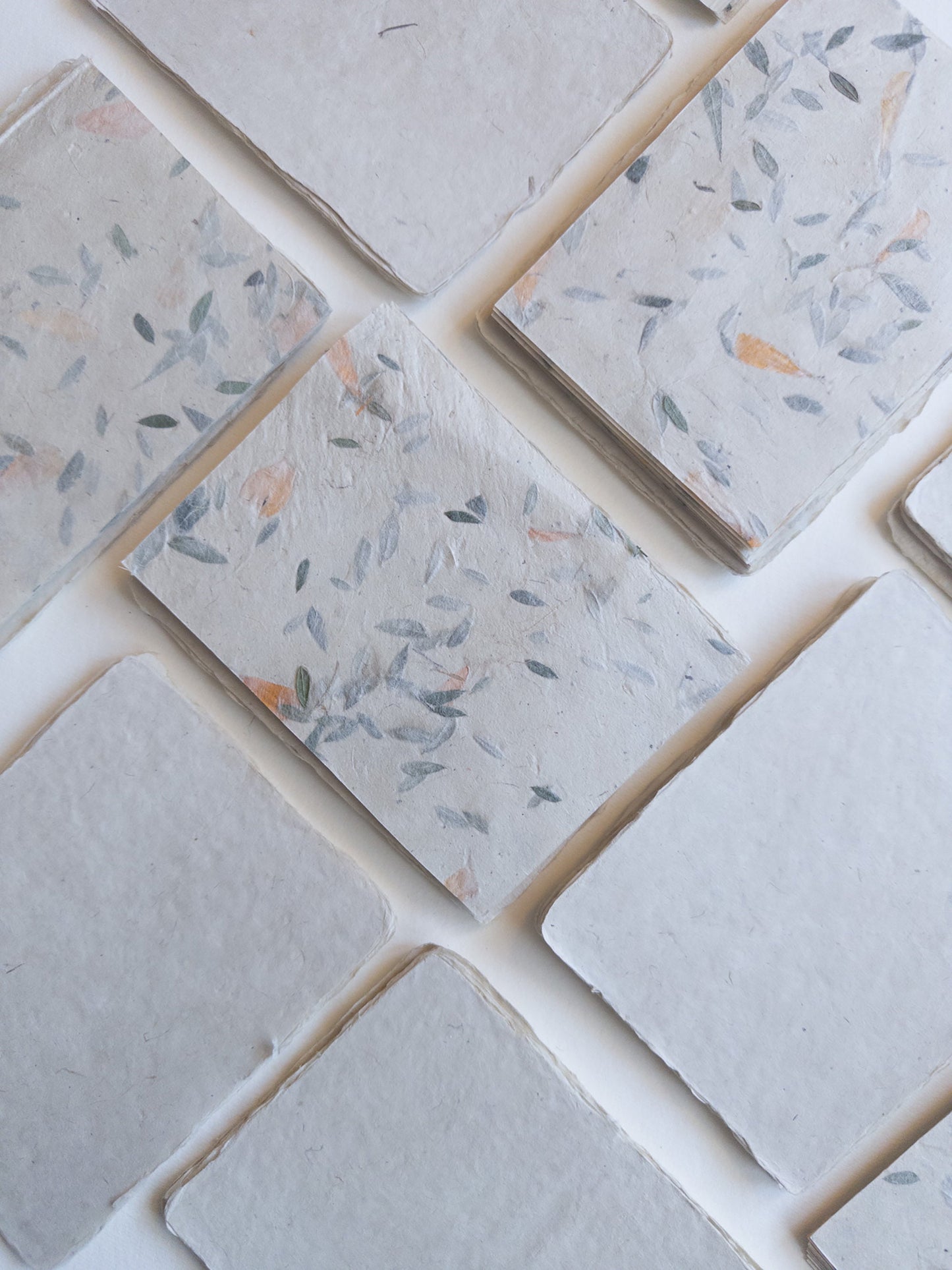 Fern paper SET OF FIVE Handmade paper with Envelop, real pressed Fern 5x7 paper, A6 paper, Invitation Paper, inkjet paper, Papier Fait Main