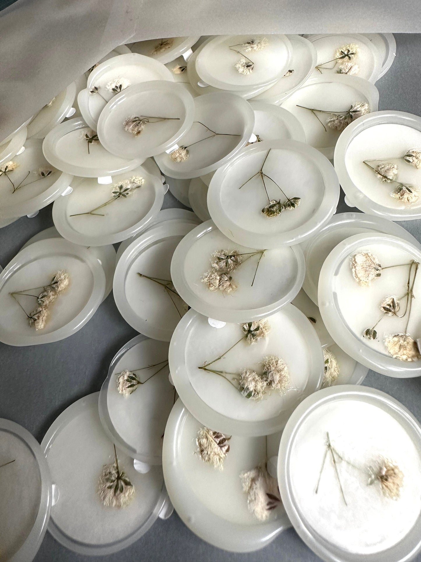 Baby Breath Pressed flower Seals