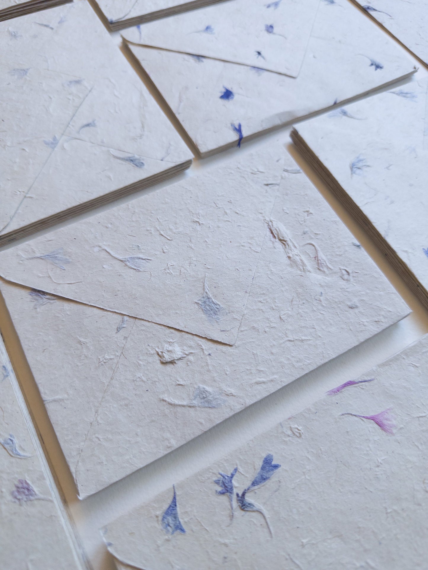 Corn Flower paper and Envelope