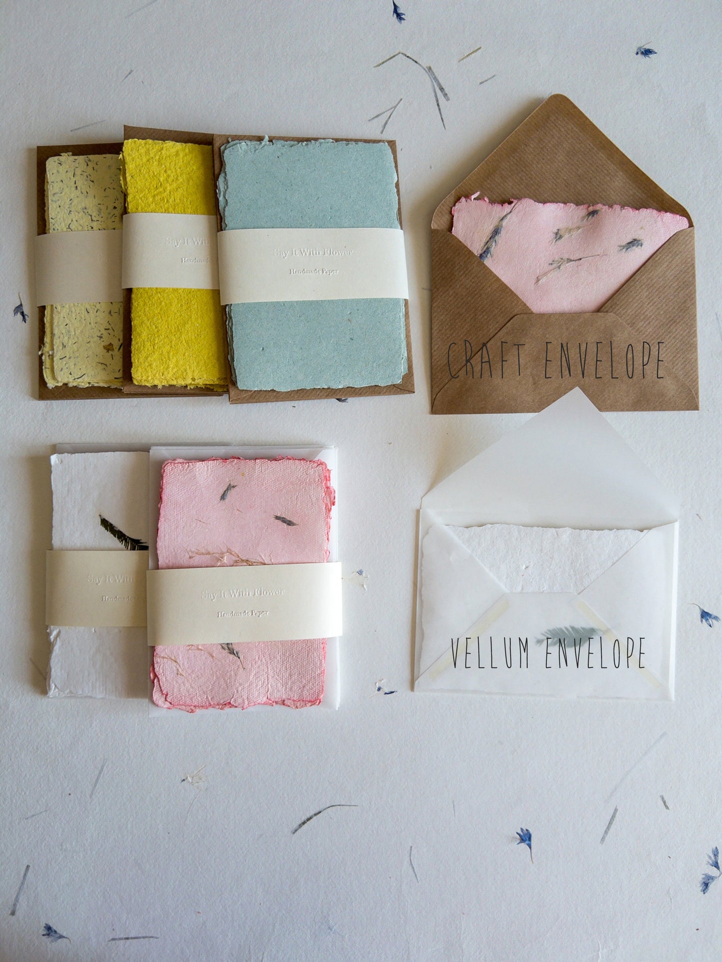 Fern Paper and Envelope
