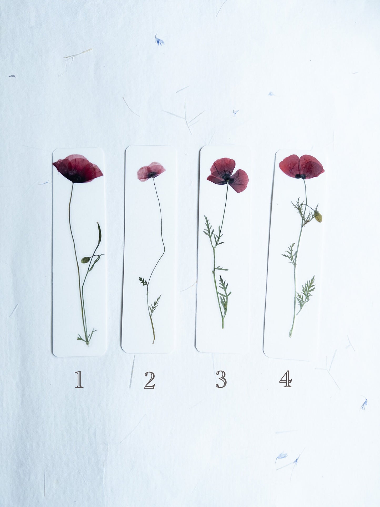 Pressed Flower bookmark corn poppy , dried flower , gift, fleur, fleur séchée, marque page coquelicots