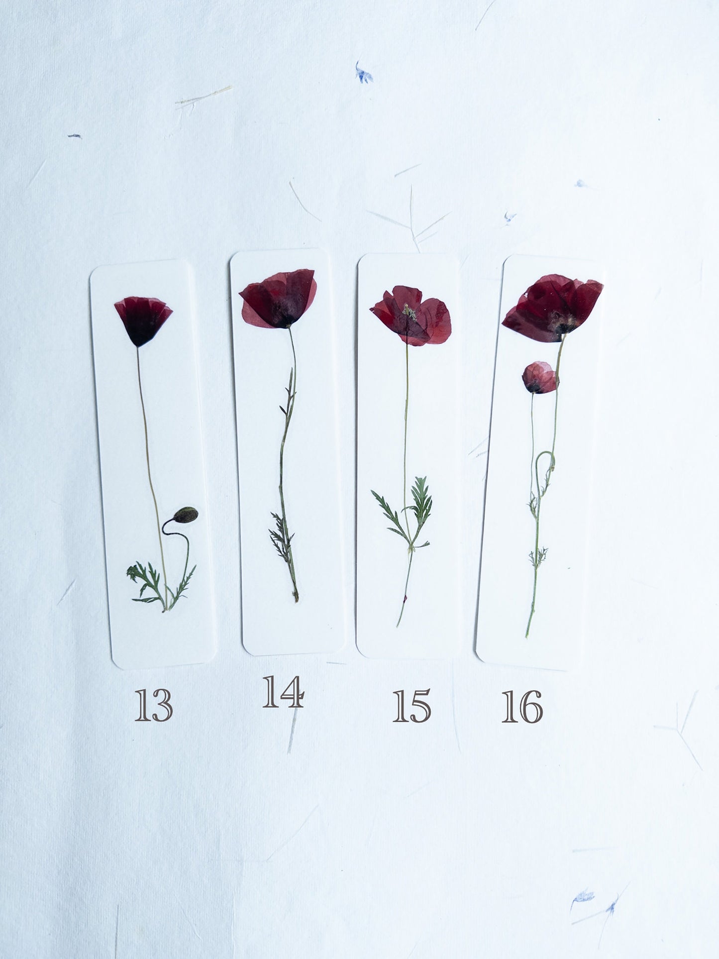 Pressed Flower bookmark corn poppy , dried flower , gift, fleur, fleur séchée, marque page coquelicots