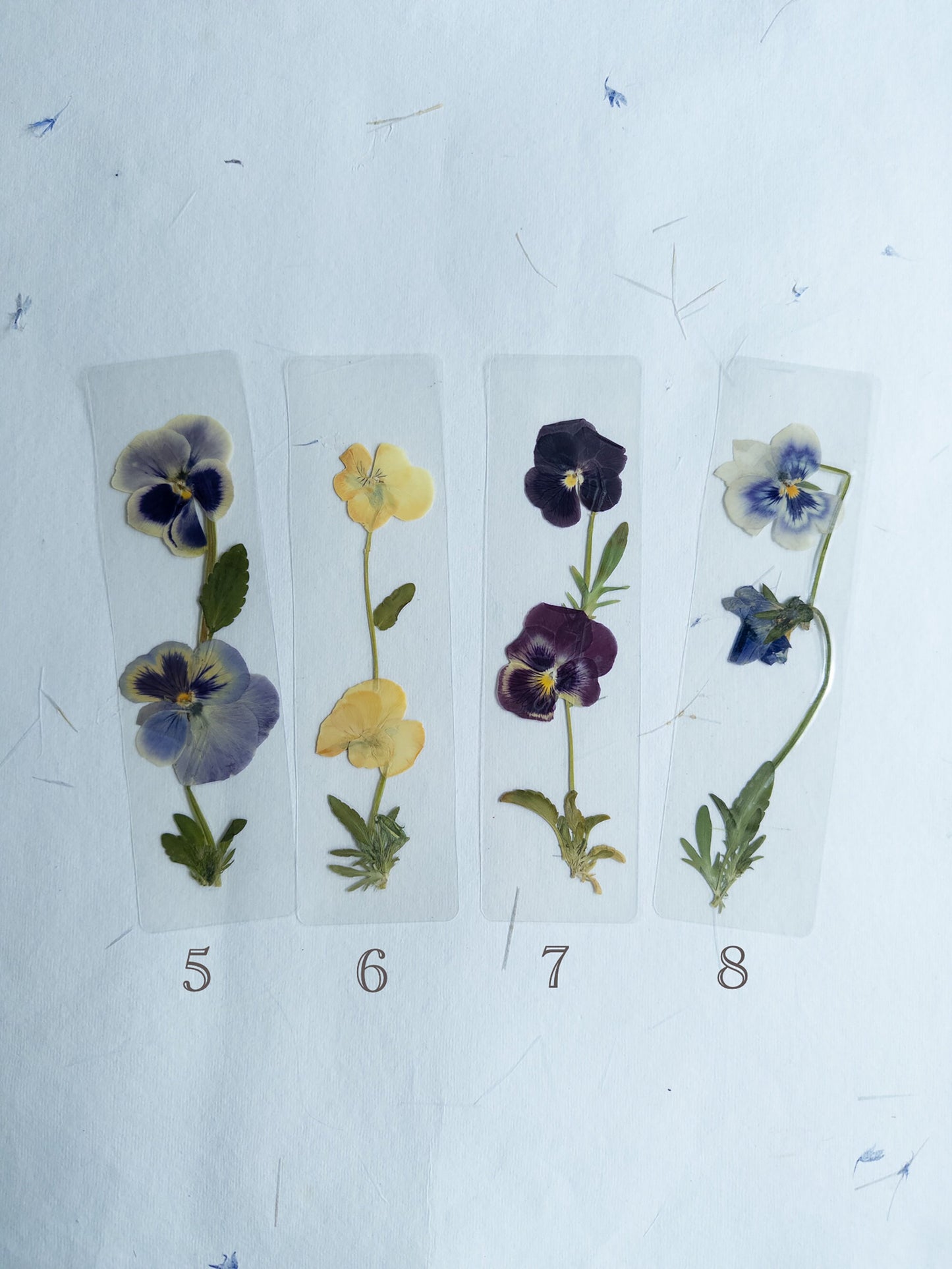 Pansy flower bookmark,Pressed flower bookmark Transparent, violet bookmark handmade bookmark, gift, dried flower, fleur séchée , marque page