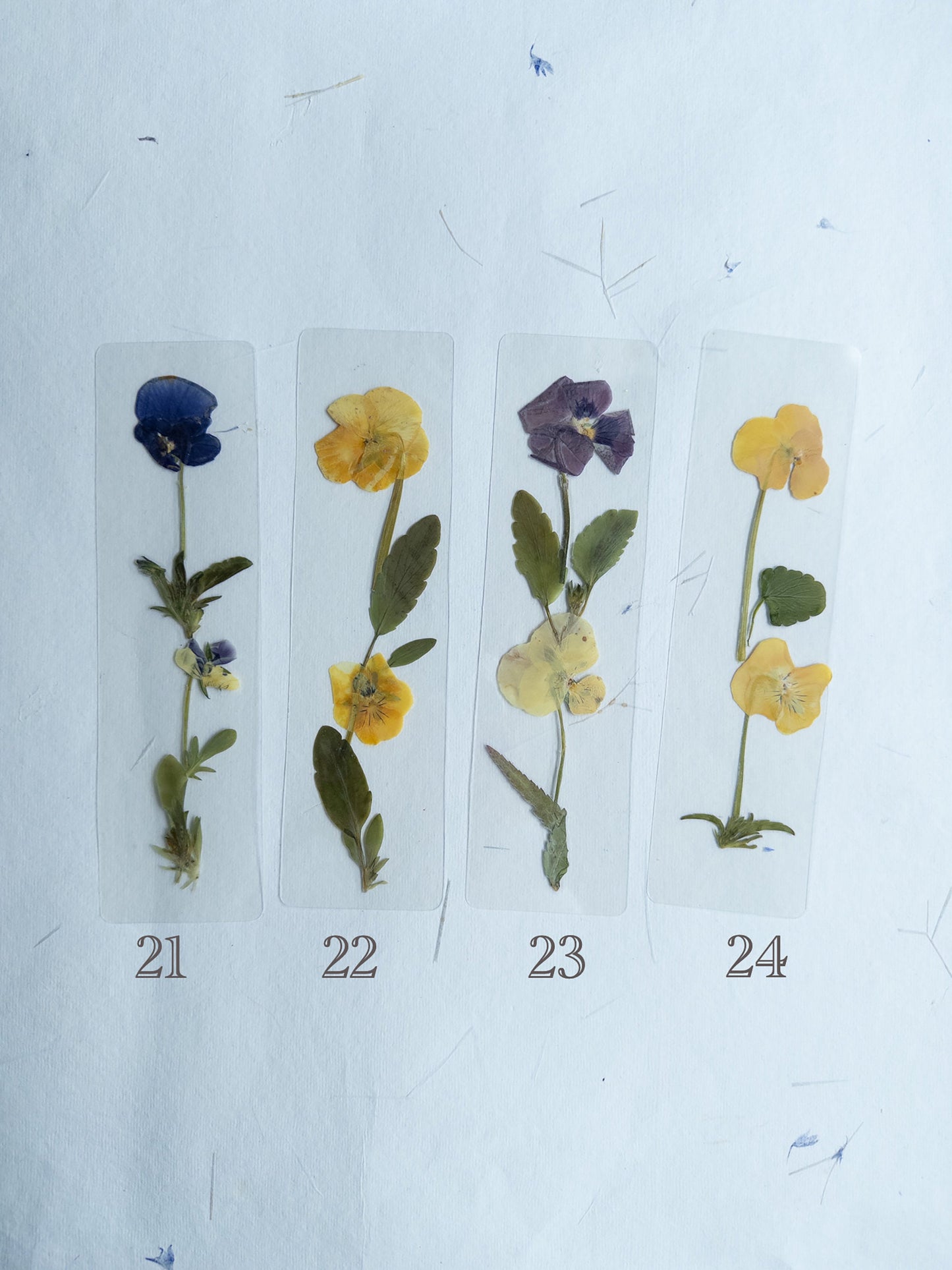 Pansy flower bookmark,Pressed flower bookmark Transparent, violet bookmark handmade bookmark, gift, dried flower, fleur séchée , marque page