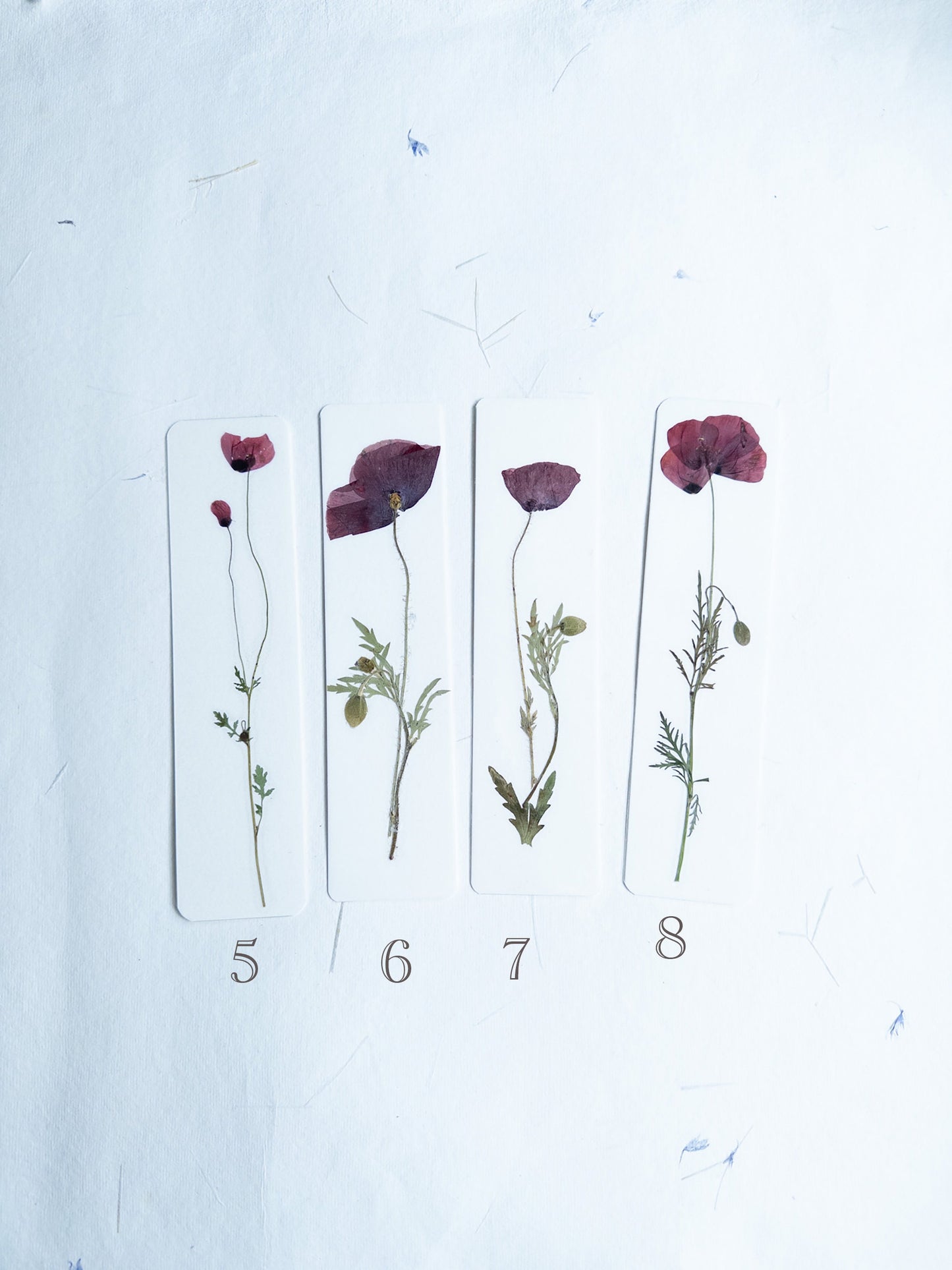 Pressed Flower bookmark corn poppy , dried flower , gift, fleur, fleur séchée, marque page coquelicots