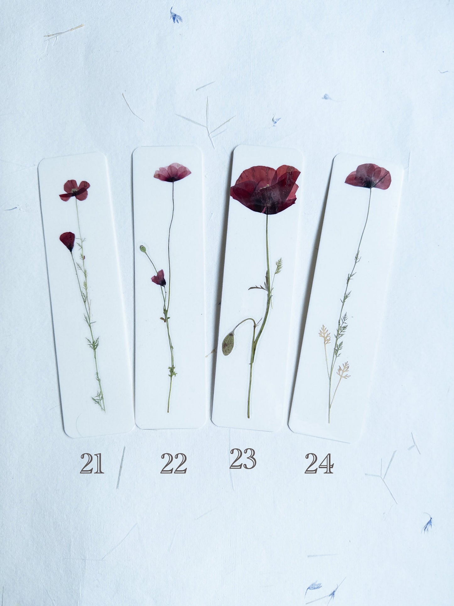 Pressed Flower bookmark corn poppy , dried flower , gift, fleur, fleur séchée, marque page coquelicots