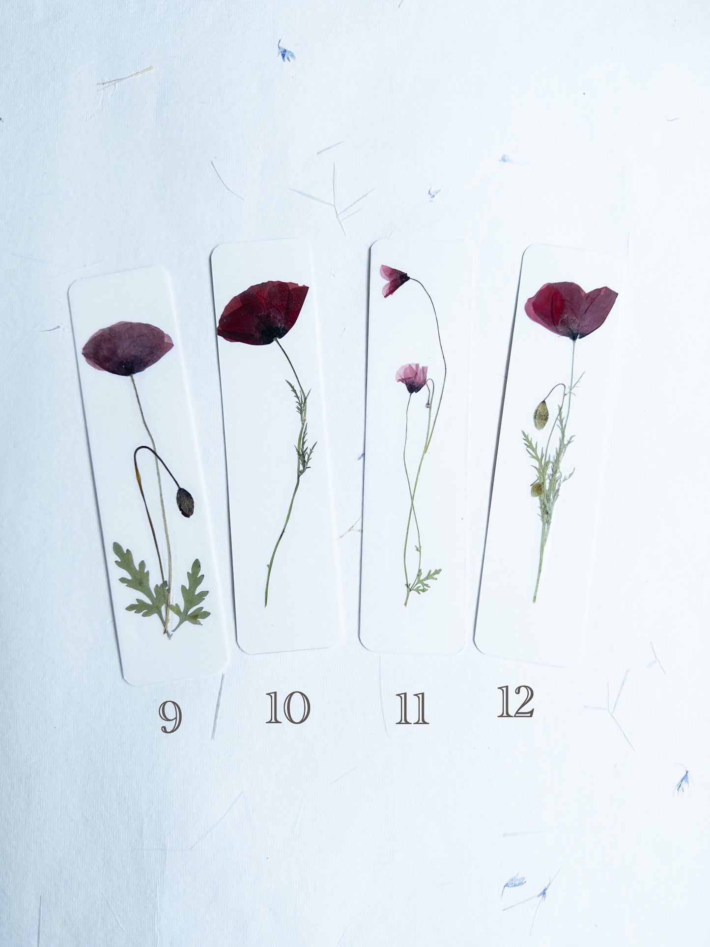 Pressed Flower bookmark corn poppy , dried flower , gift, fleur, fleur séchée, marque page coquelicots