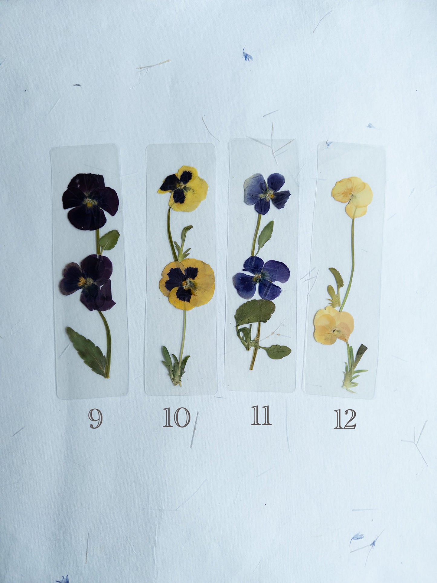 Pansy flower bookmark,Pressed flower bookmark Transparent, violet bookmark handmade bookmark, gift, dried flower, fleur séchée , marque page