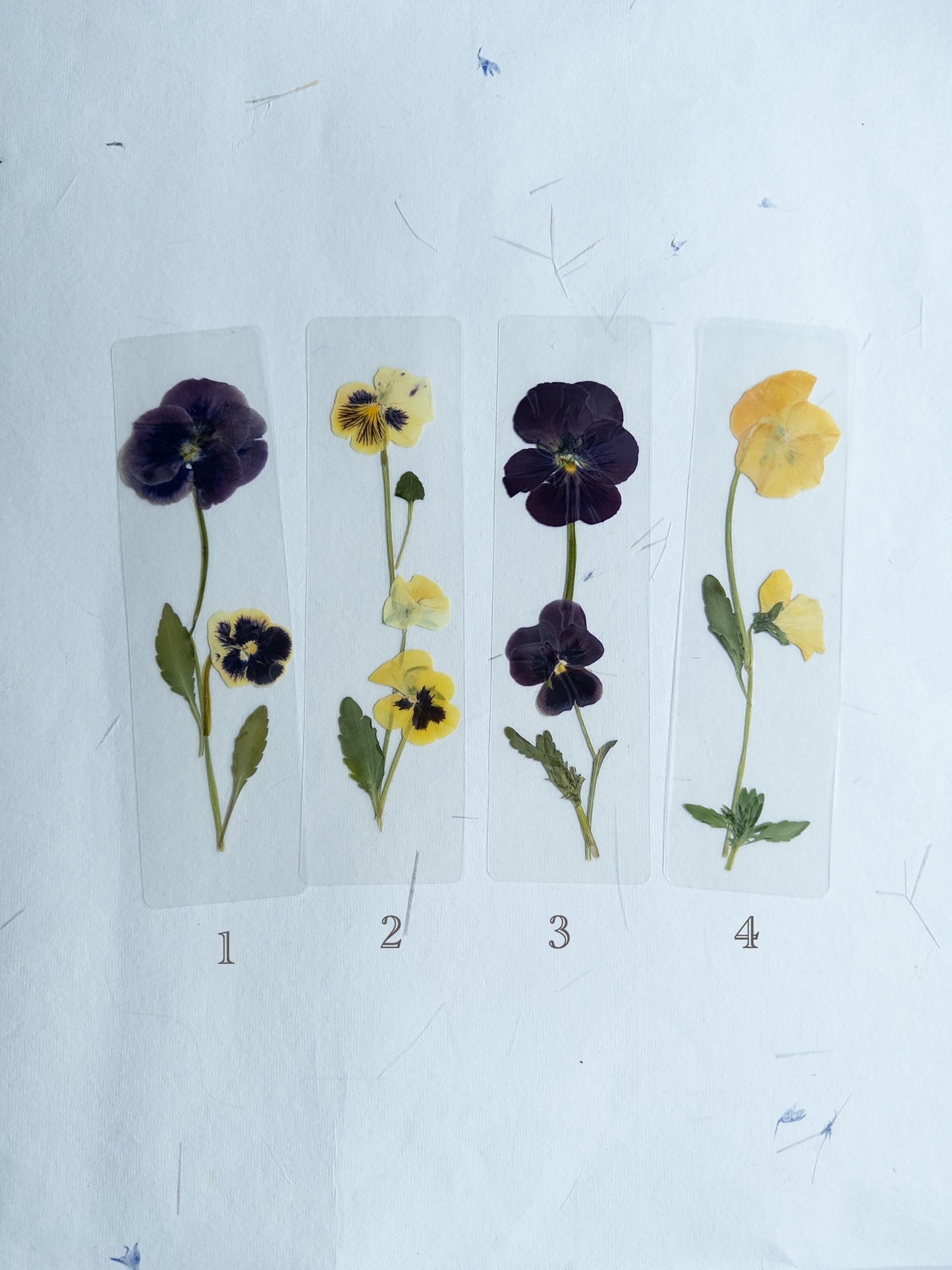 Pansy flower bookmark,Pressed flower bookmark Transparent, violet bookmark handmade bookmark, gift, dried flower, fleur séchée , marque page